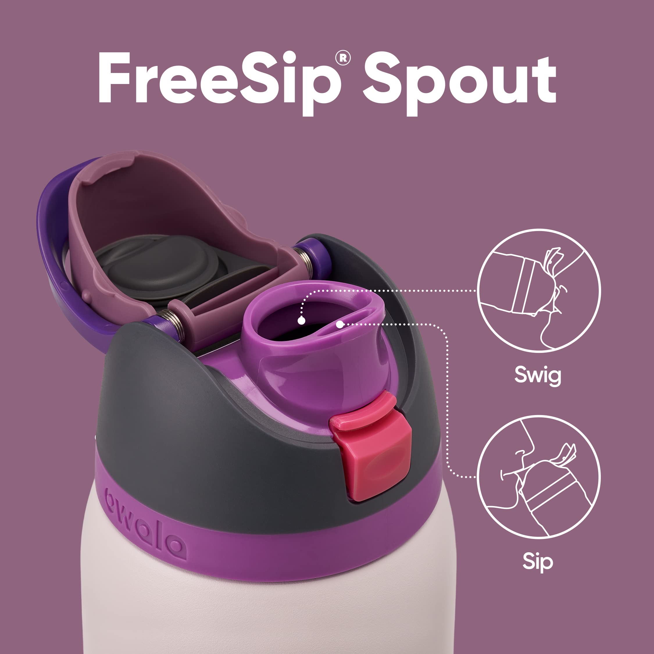 Owala FreeSip 24 oz Insulated Stainless Steel Water Bottle, BPA-Free, Dreamy Field, Model C06156 for Sports and Travel