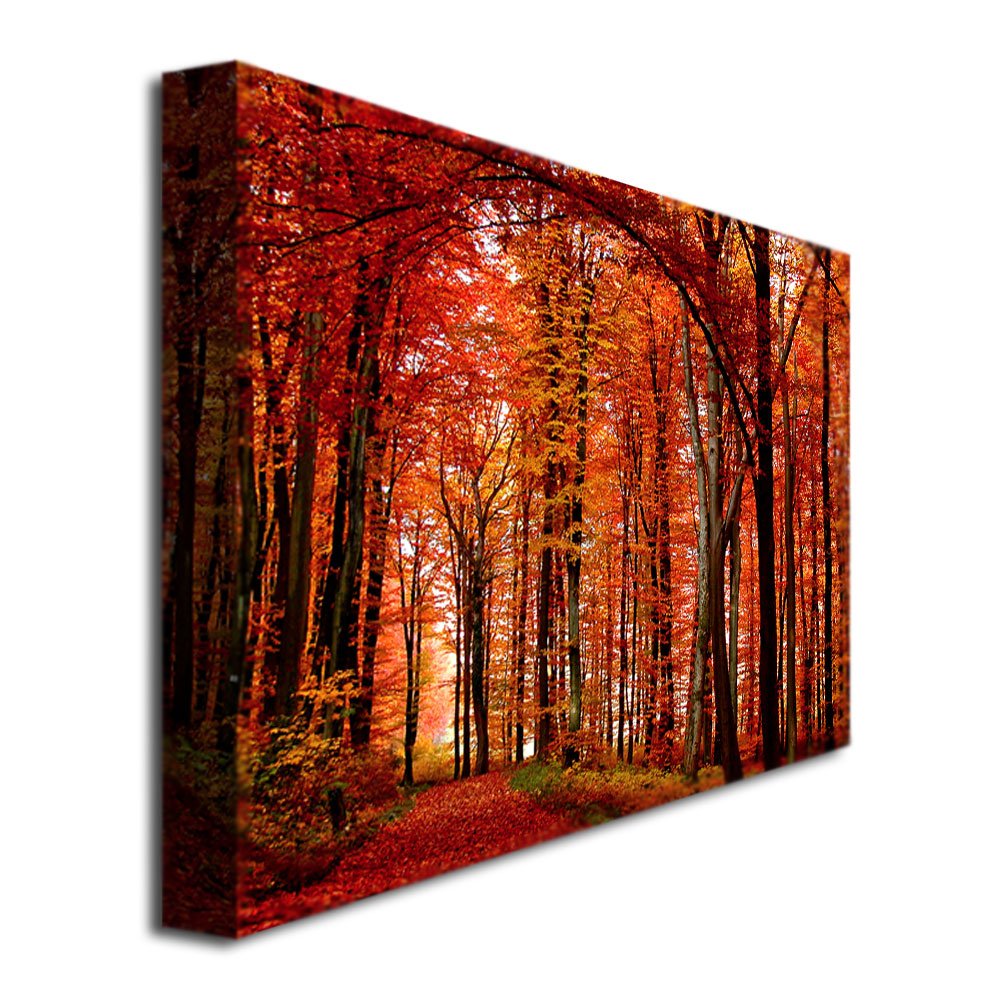 Trademark Fine Art The Red Way Canvas Wall Art, 30x47-Inch, Wood Material, Red, Model PSL033-C3047GG