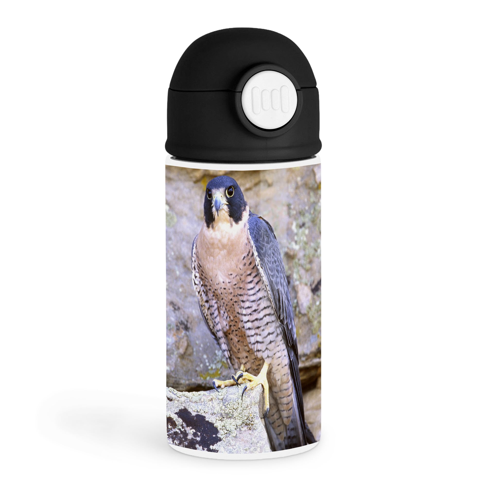 Sentimental Bird Enthusiast 12oz Kids Black Bottle  Peregrine falcon perched on a rock, detailed feathers  Outdoor Adventures,