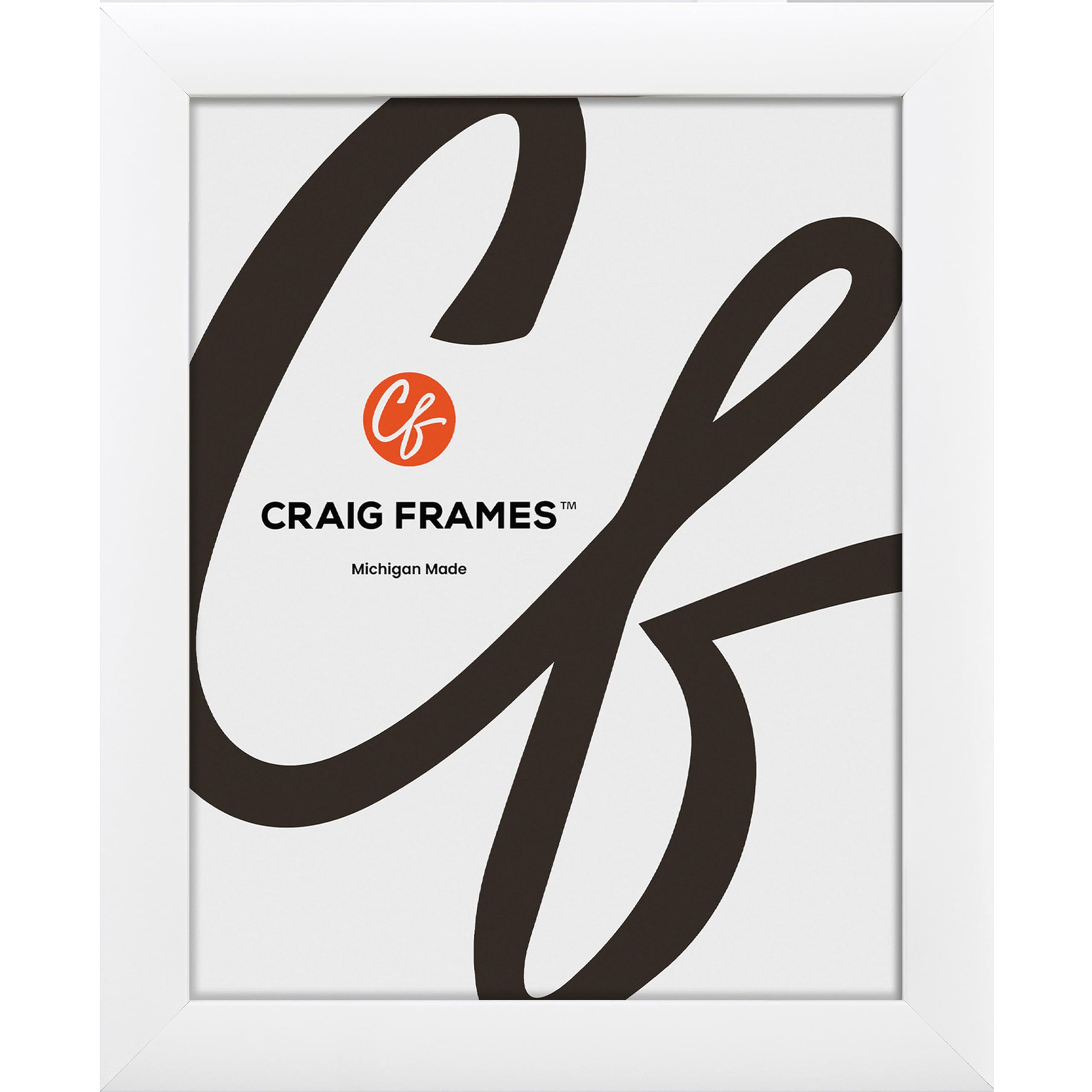 Craig Frames Contemporary Picture Frame, 18 x 24 Inch, White
