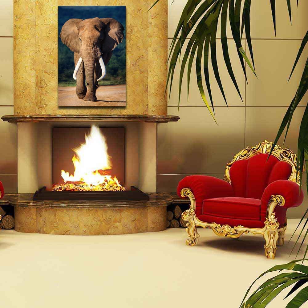 Pitaara Box Elephant with Large Teeth | Peel & Stick Vinyl Wall Sticker for Bedroom & Living Room | 16 x 23.8 inch (41 x 60 cms)