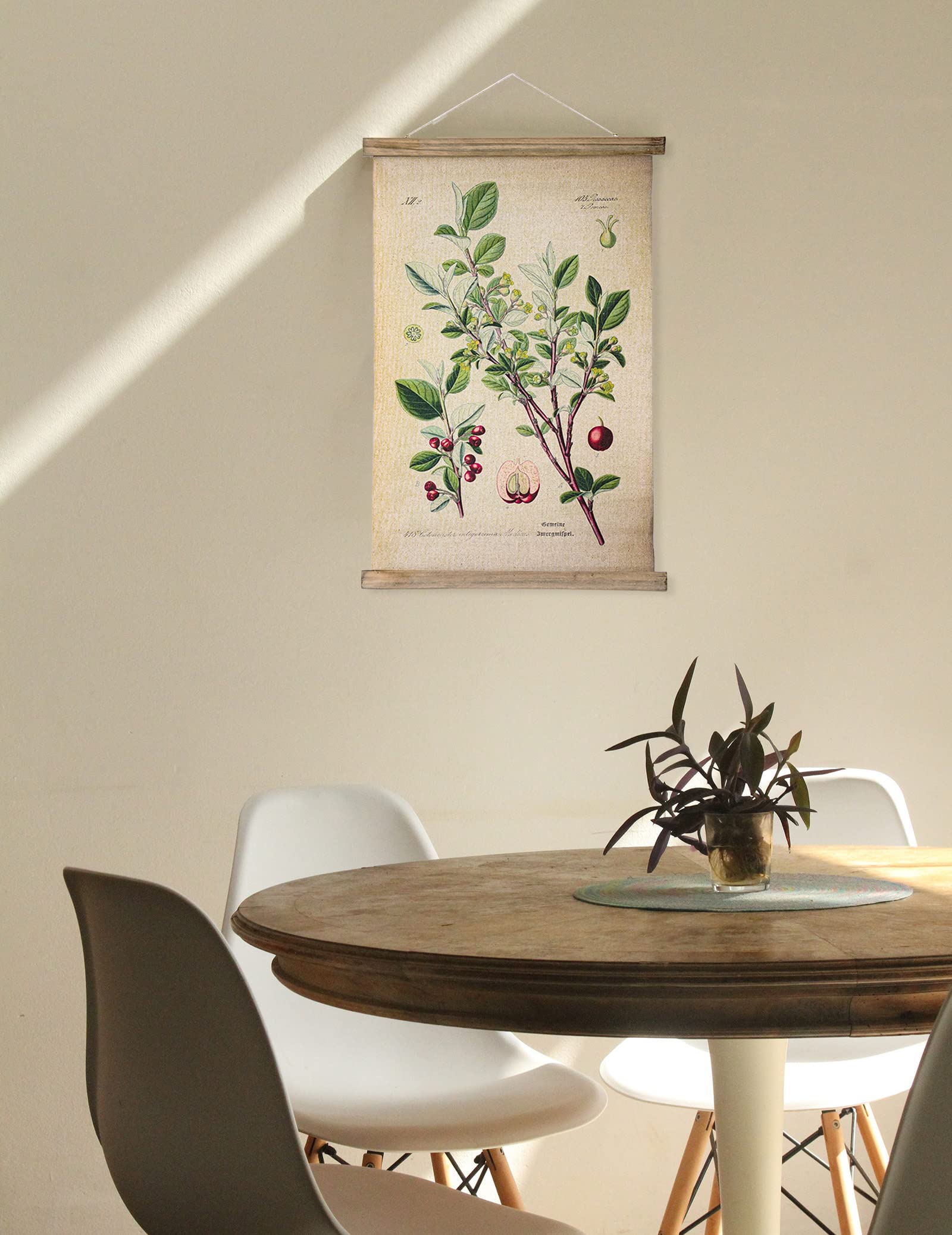 ABoby Vintage Hanging Poster  Illustrative Reference Plant Poster  Retro Style of Botanical Wall Art Prints  Printed on Linen with Wood Frame  Ready to Hang