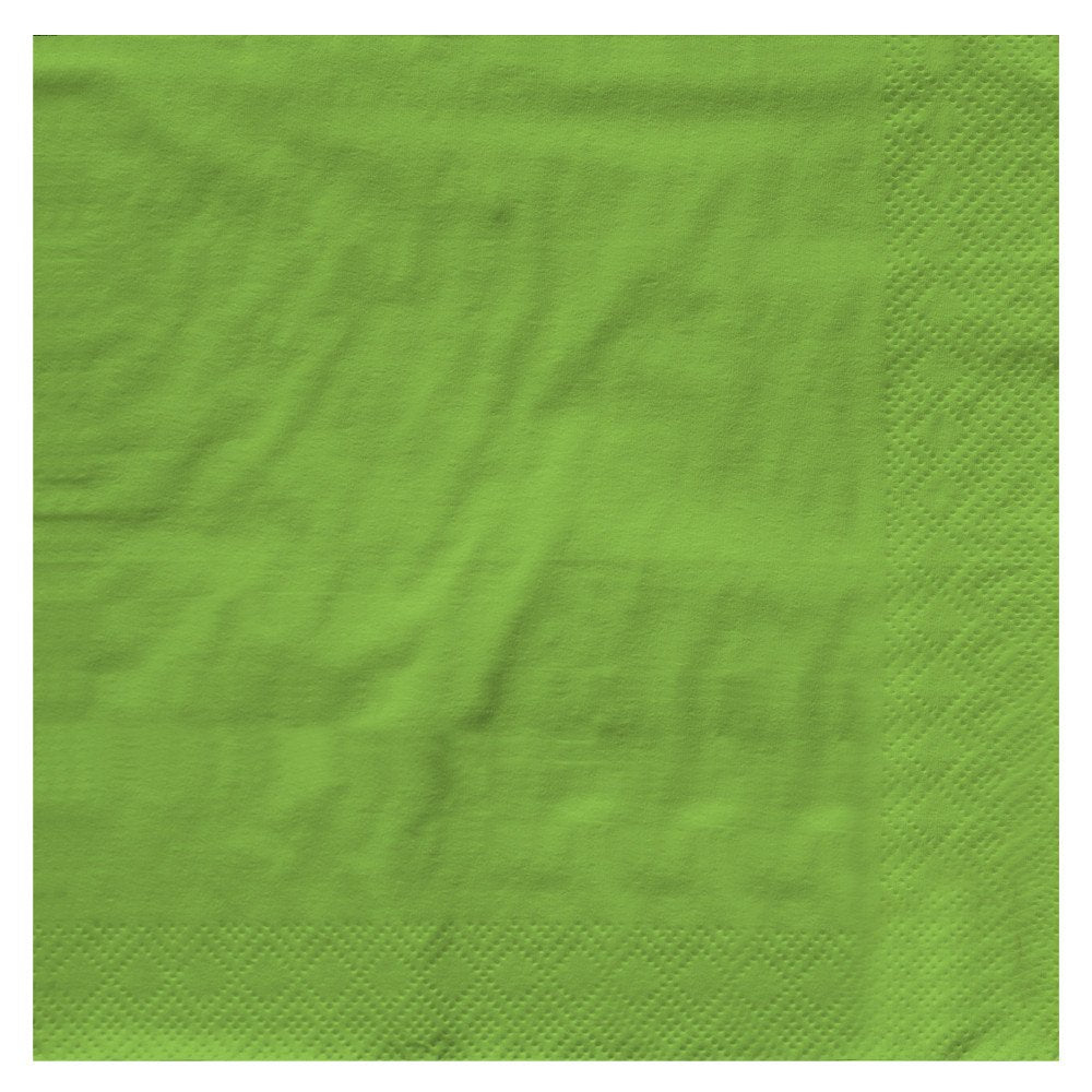 Creative Converting Touch Of Color 2-Ply 50 Count Paper Lunch Napkins, Fresh Lime - 663123B