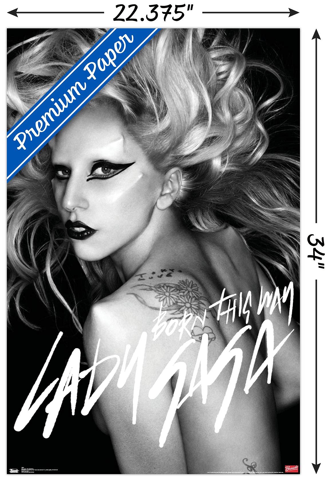 Trends International Lady Gaga - Born This Way Wall Poster, 22.375'' X 34'', Premium Unframed Version