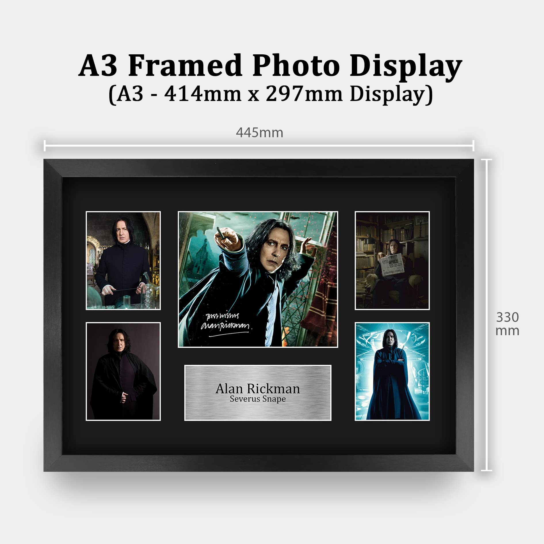 HWC Trading Alan Rickman Harry Potter Severus Snape Autographed 16x12 Framed Display - Movie Memorabilia for Fans