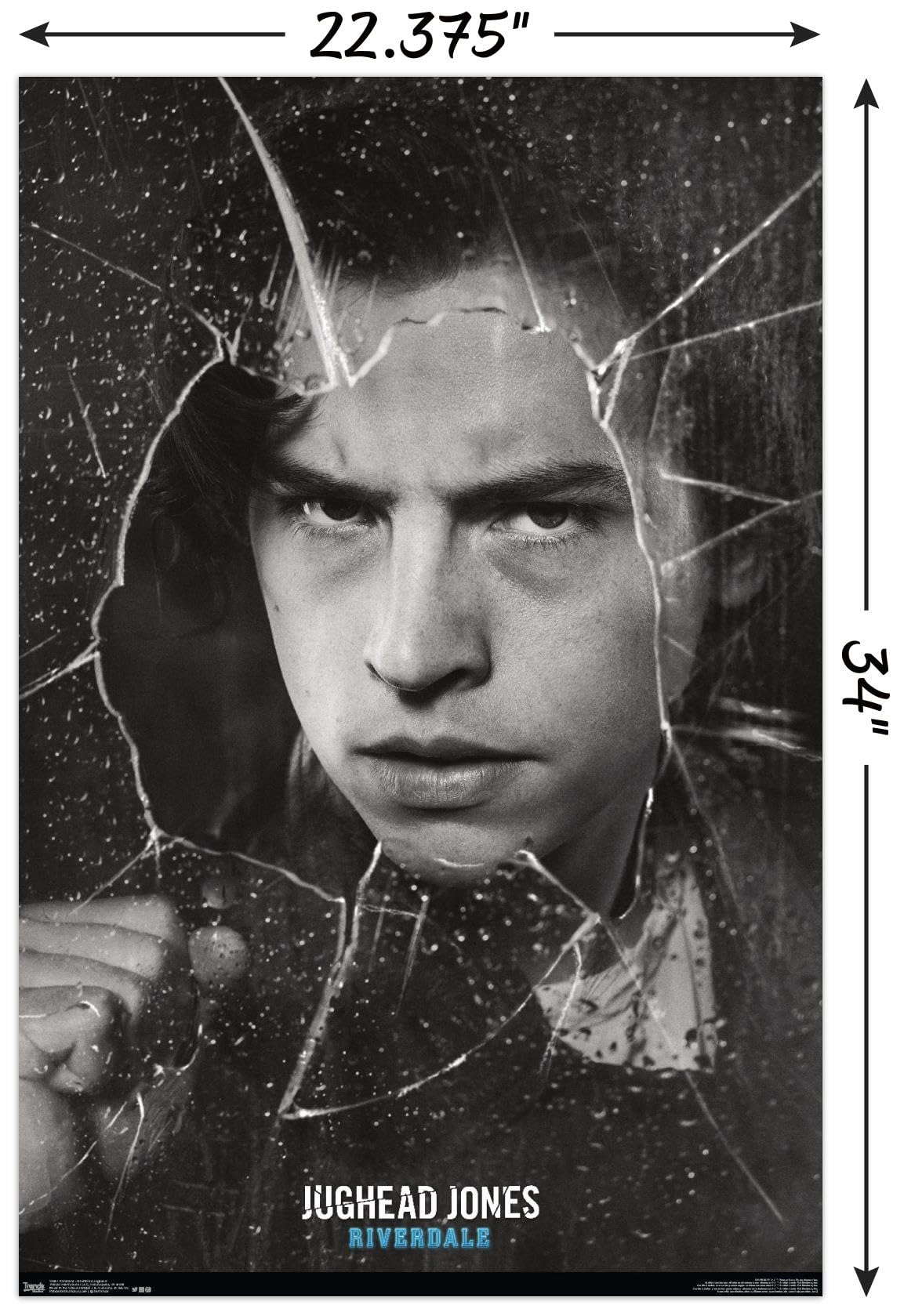 Trends International Riverdale - Shattered Jughead Wall Poster, 22.375'' X 34'', Premium Poster & Mount Bundle