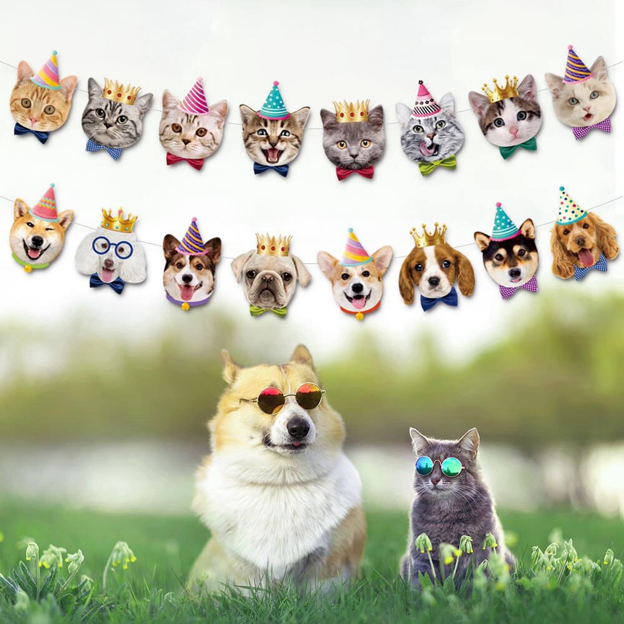 Tsj Cat Birthday Banner, Cat Face Party Banner, Kitty Cat Theme Party Bunting Decoration For Cat Adoption Birthday Party Favors