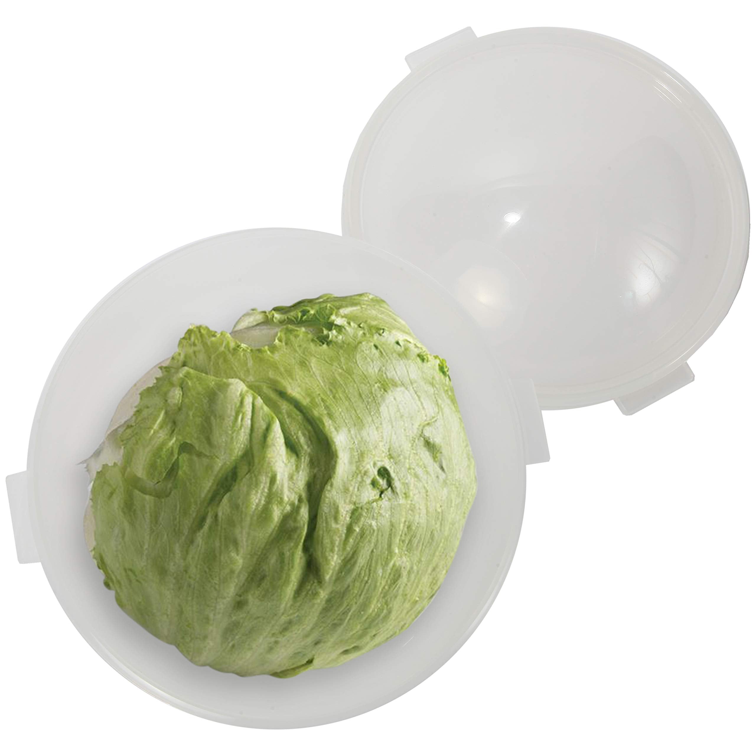 Trenton Gifts Lettuce And Vegatable Storage Keeper | 7'' X 8''