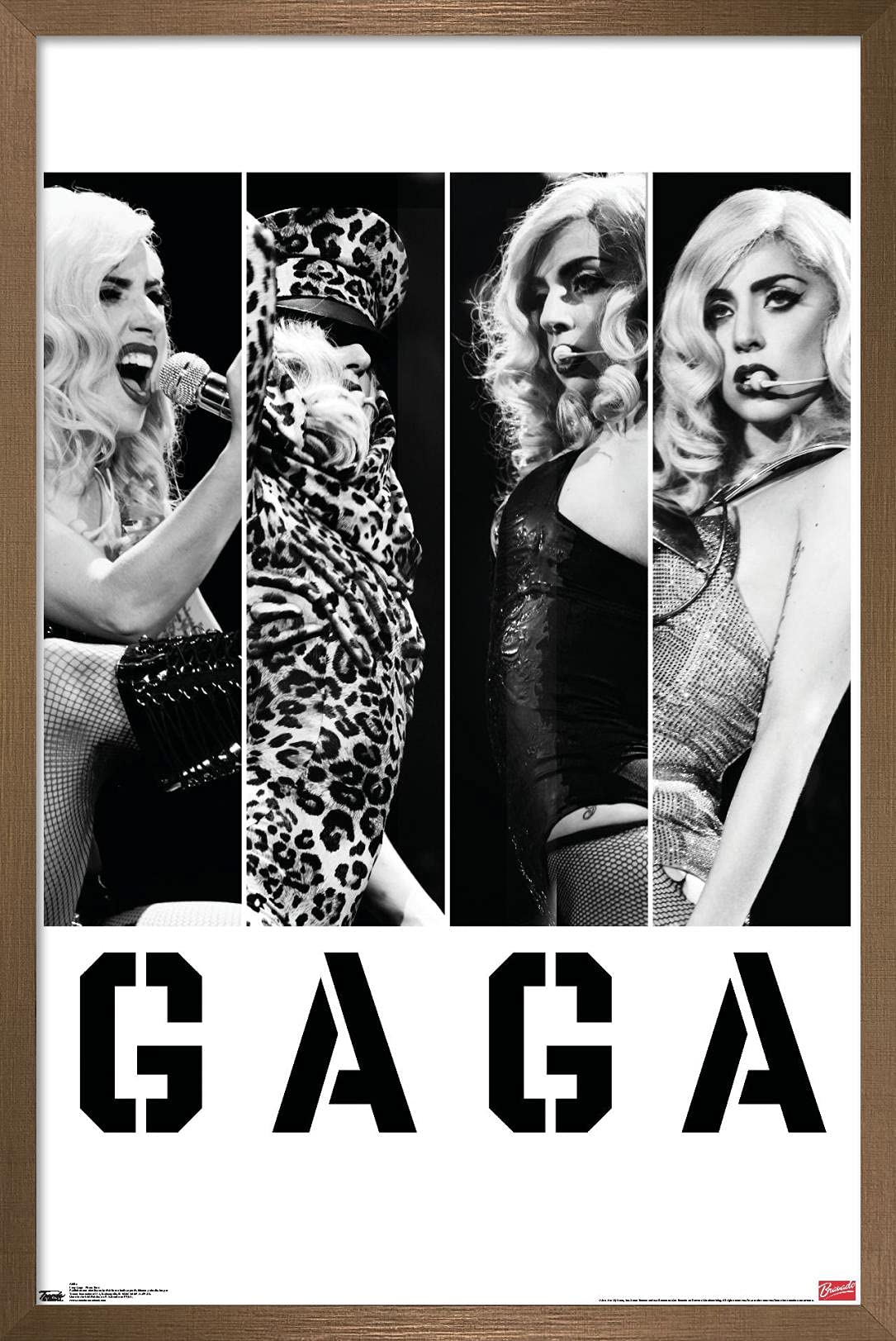 Trends International Lady Gaga - Photo Bars Wall Poster, 14.725'' X 22.375'', Bronze Framed Version