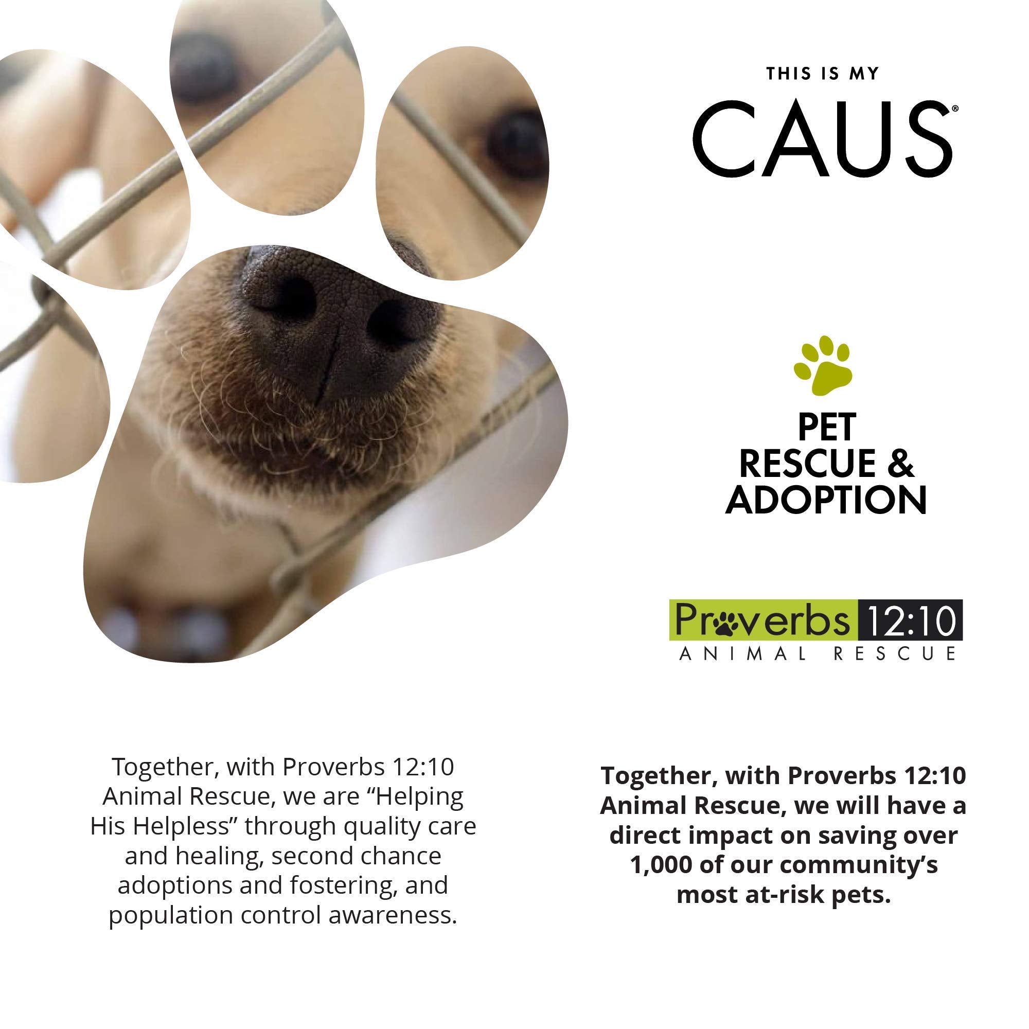 Caus Red Pet Stainless Steel Bottle, 17 Oz