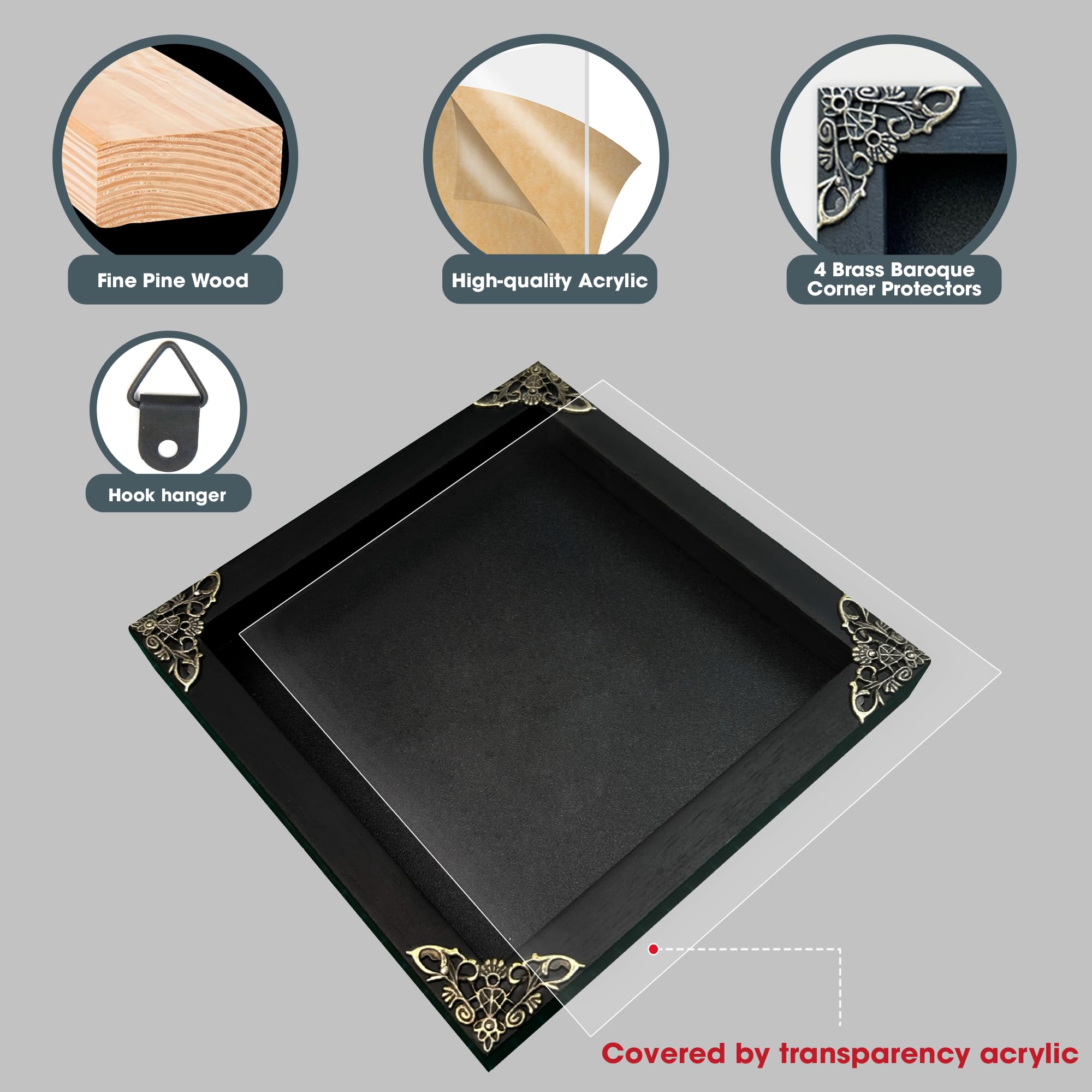 Real Atlas Moth Butterfly Frame Insect Lover Black Frame Shadow Box Taxidermy Specimen Room Decor Wall Hanging Tabletop Home Art