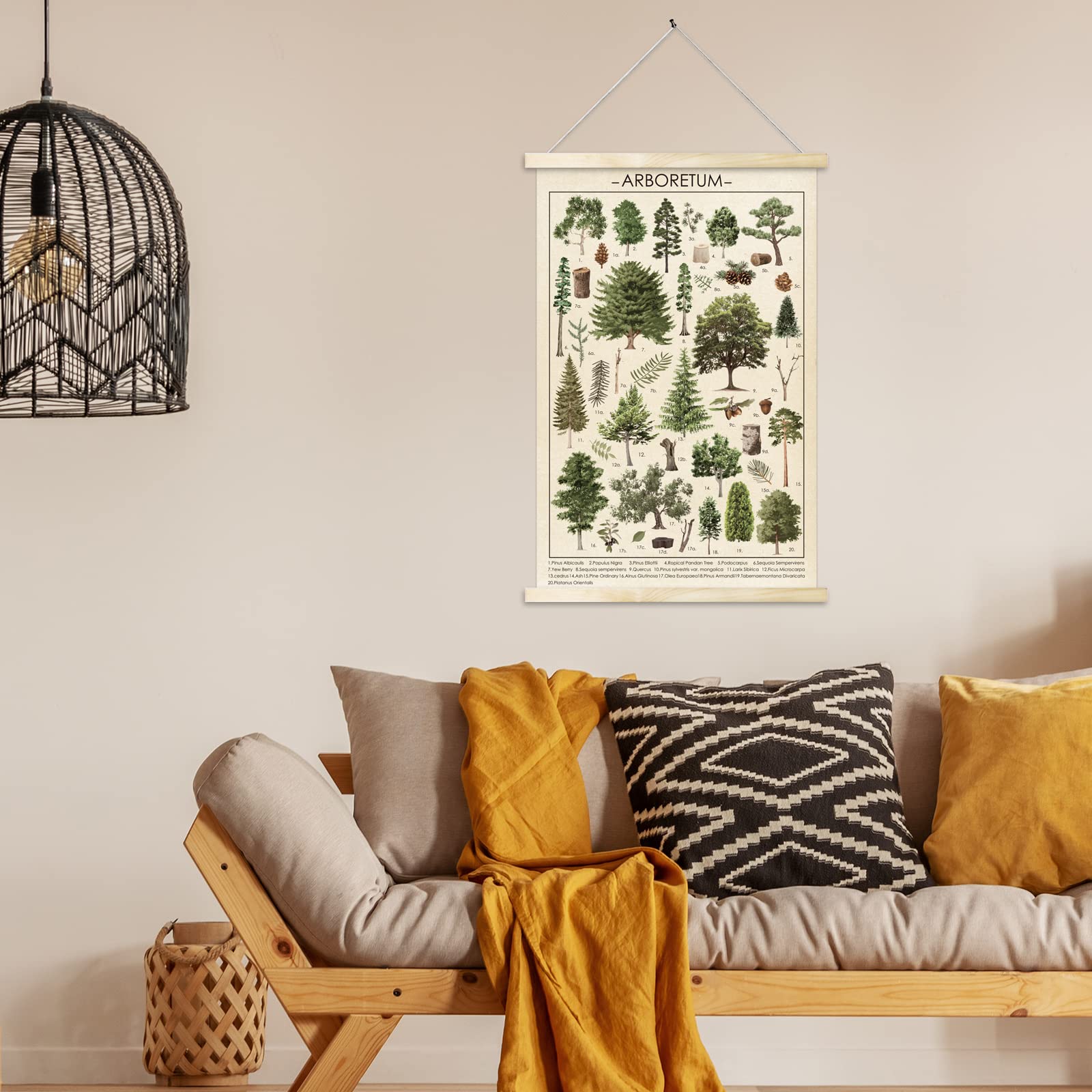 Tevxj Vintage Tree Poster Plant Wall Art Prints Rustic Style Of Arboretum Wall Hanging Illustrative Reference Chart Poster For L
