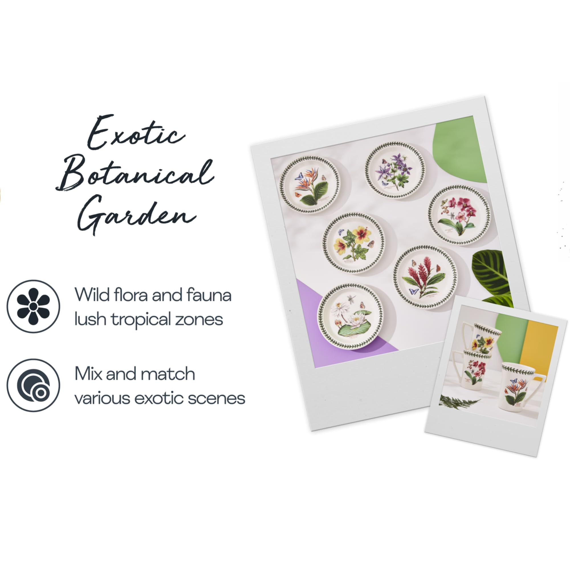 Portmeirion Exotic Botanic Garden 10.5-Inch Dinner Plate, Dragonfly - Made In England, Dishwasher & Microwave Safe - Floral Fine