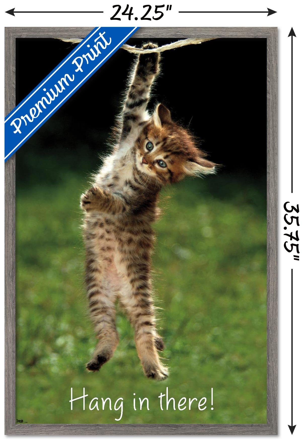 Trends International Famous Kitten Hang In There Poster Wall Poster, 22.37'' X 34.00'', Barnwood Framed Version