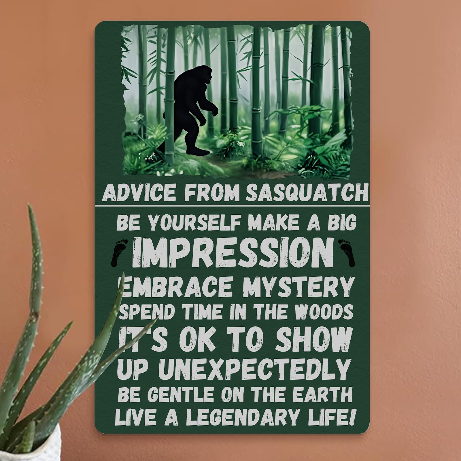 Funny Tin Signs Decor ADVICE FROM SASQUATCH Vintage Metal Wall Art Poster Plaque Artistic Decoration for Home Office Room Bar Pu