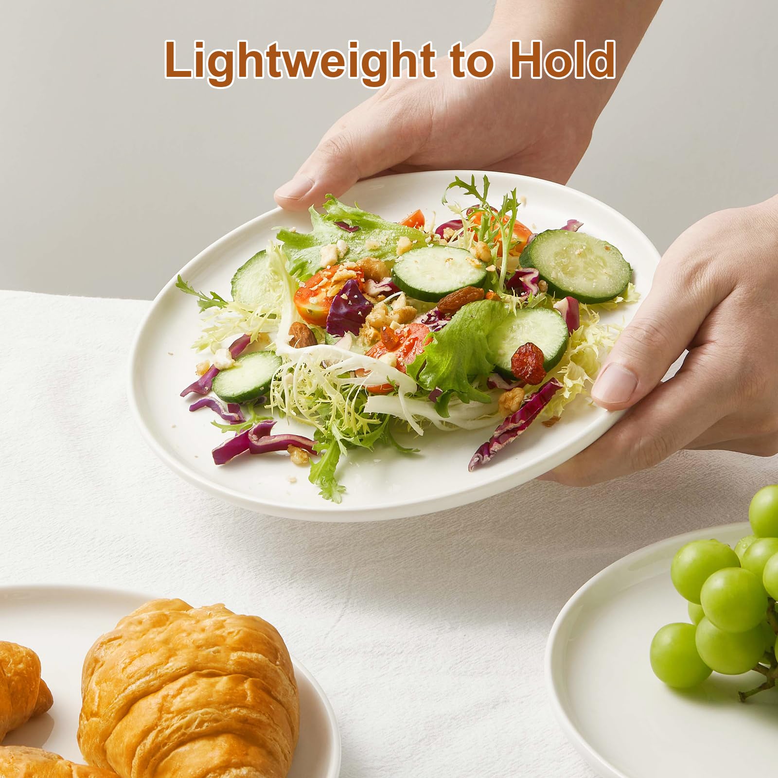 Jassceram 8.5 Inch Small Dinner Plates Set Of 6, Ceramic Plates For Salad, Snack, Dessert And Appetizer - Microwave, Oven And Di