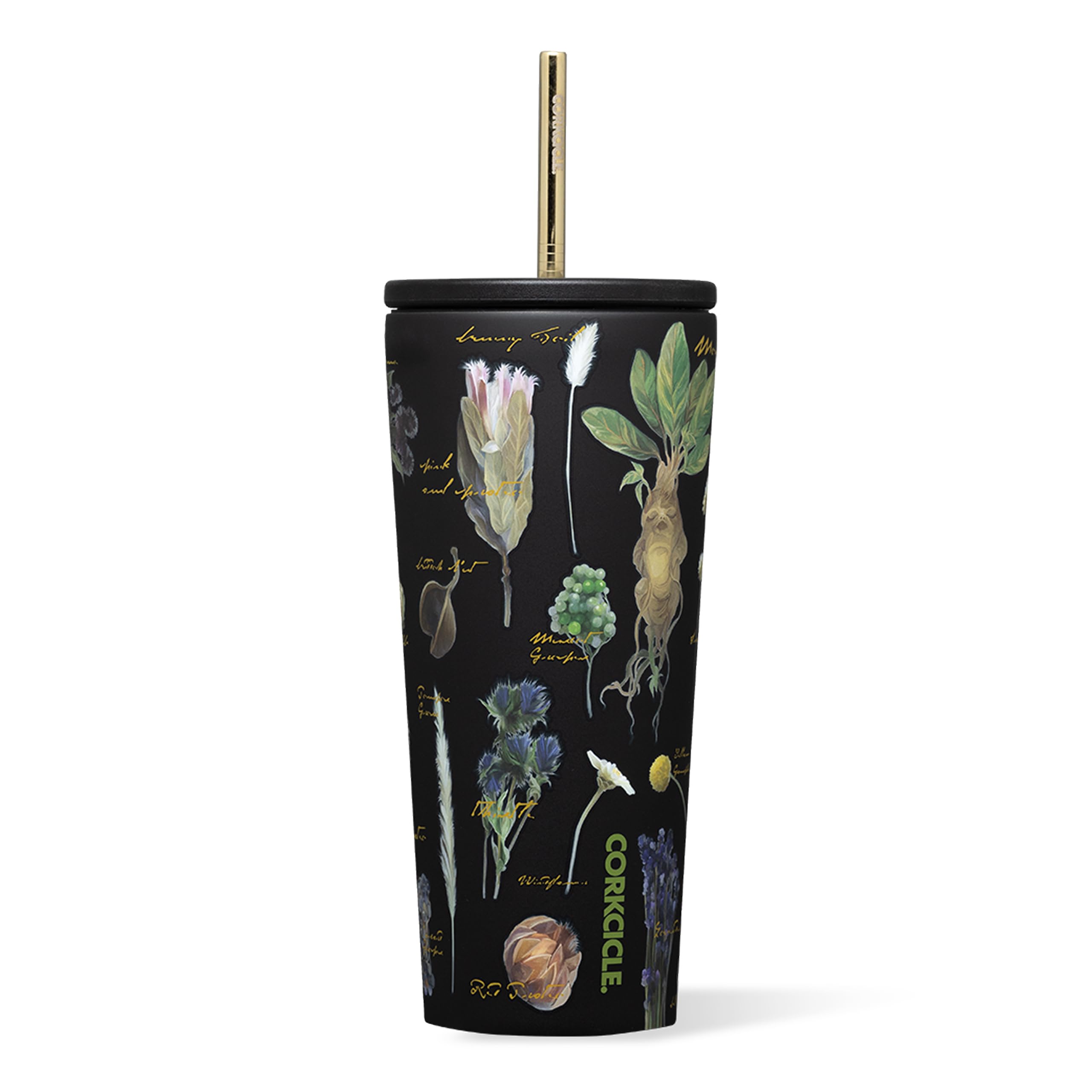 Corkcicle Warner Brothers Cold Cup - Keeps Drinks Cold for 12 Hours - Triple-Insulated Stainless Steel - Straw & Screw-On Lid - 