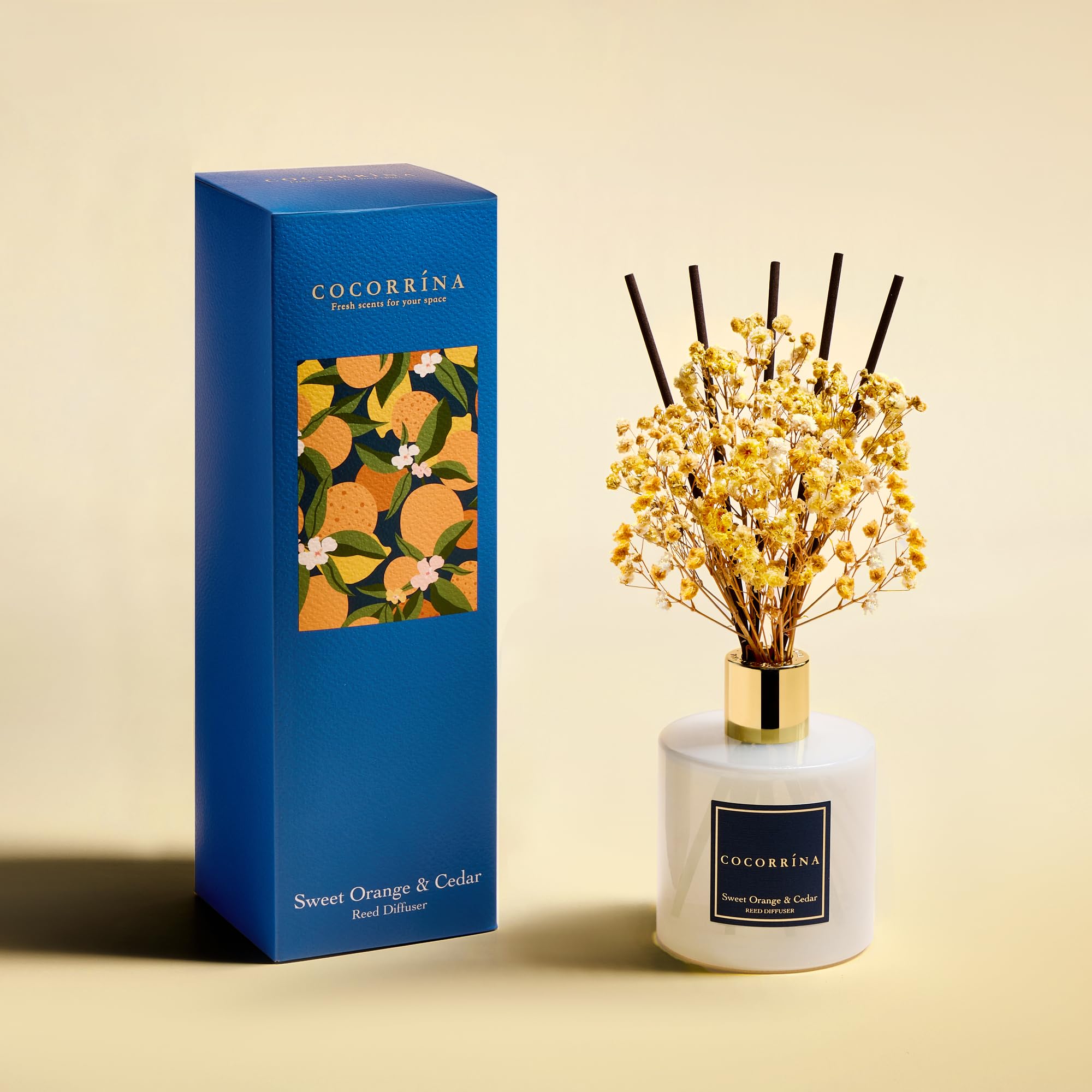 COCORR  NA Reed Diffuser - Sweet Orange & Cedar 6.7 Fl.oz Reed Diffuser Set with Sticks & Preserved Babys Breath, Reed Diffuser