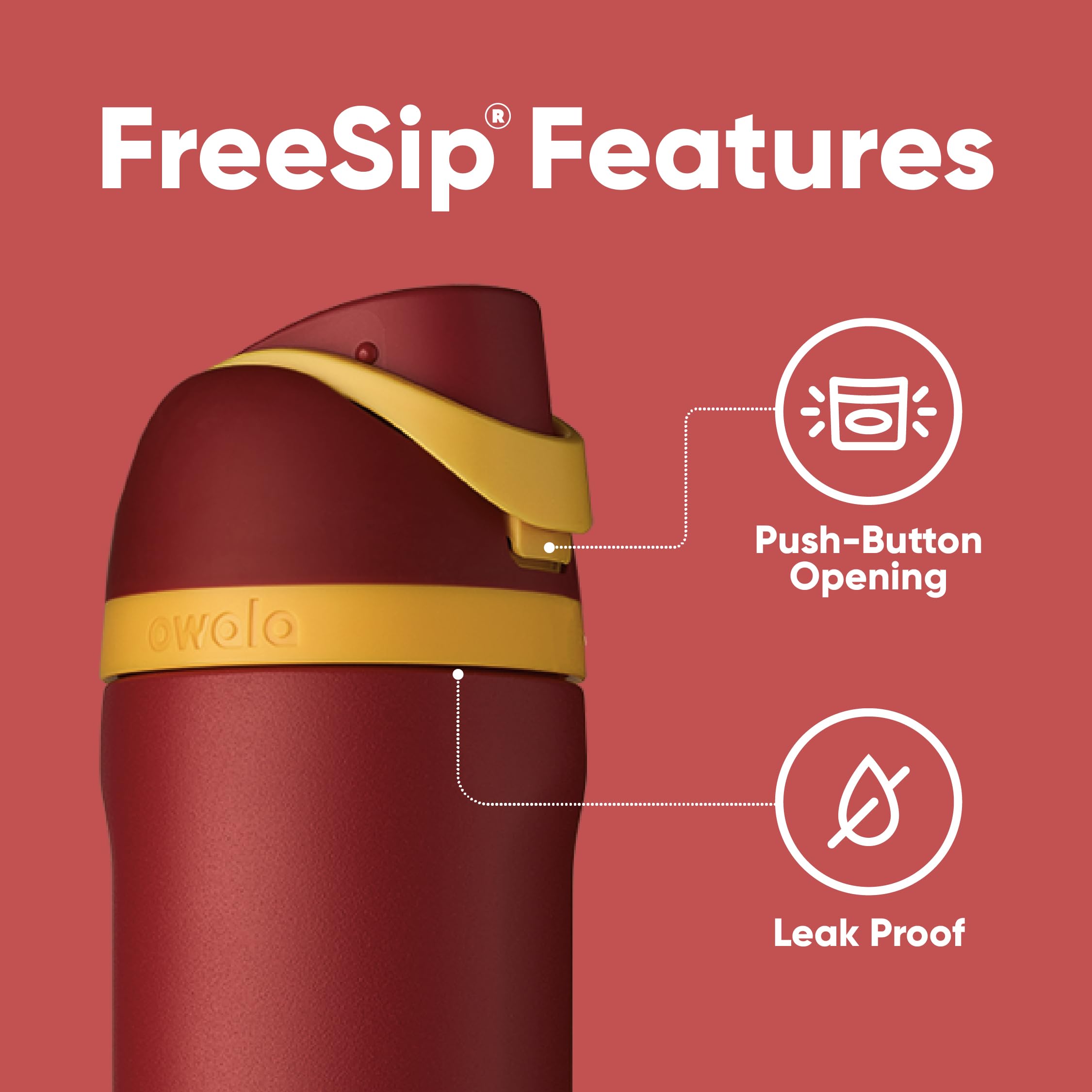 Owala Harry Potter FreeSip Insulated Stainless Steel Water Bottle with Straw, BPA-Free Sports Water Bottle, Great for Travel, 24