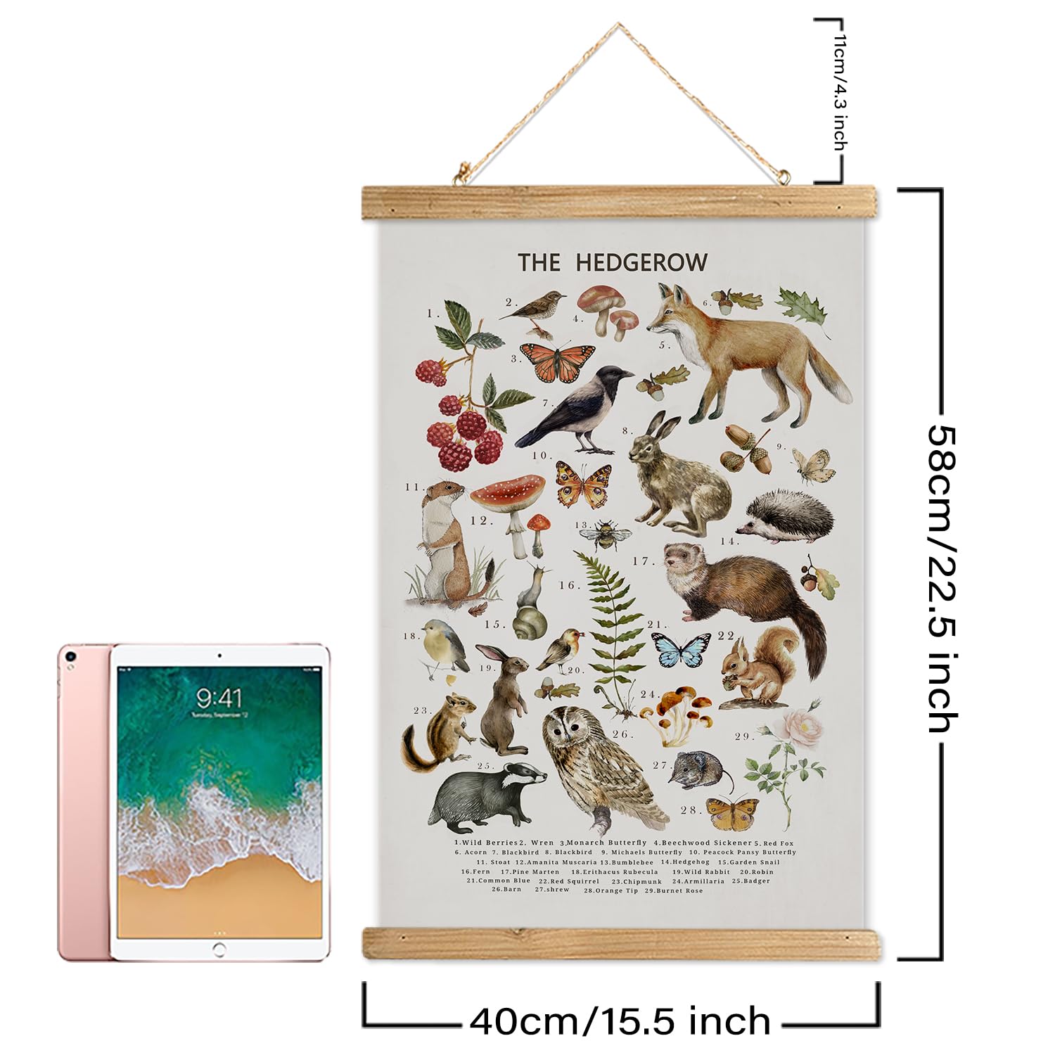 Xiaoaika British Hedgerow Wildlife Educational Poster - Illustrated Nature Chart With Wooden Frame - Countryside Animals And Pla