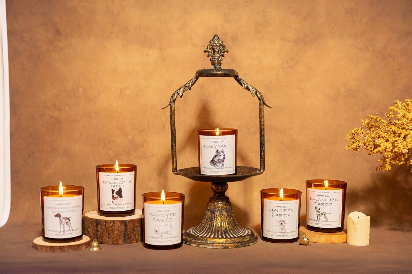 Dalmatian Gifts & Decor, Dog Mom Gifts for Women, Smells Like Dalmatian Farts Candle - Lavender & Eucalyptus, Crafted by Natural