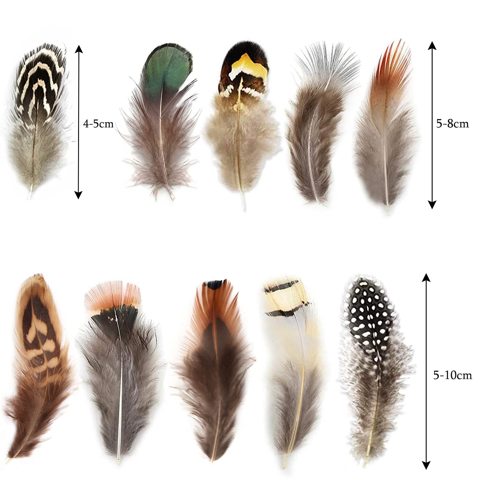 300Pcs 10 Style Natural Feathers Assorted Mixed Feathers For Dream Catcher Crafts Decoration A (10 Styles300 Pcs)