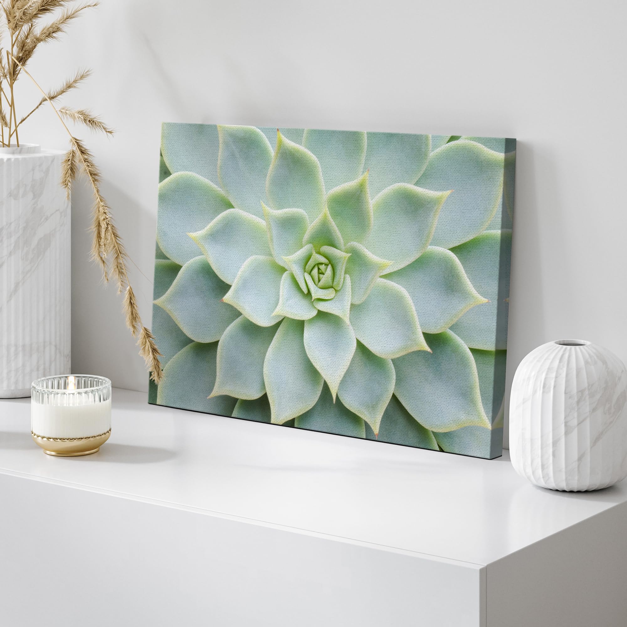 Wall26 Canvas Print Wall Art Green Rose Succulent Nature Wilderness Photography Realism Floral Botanical Southwest Rustic Countr