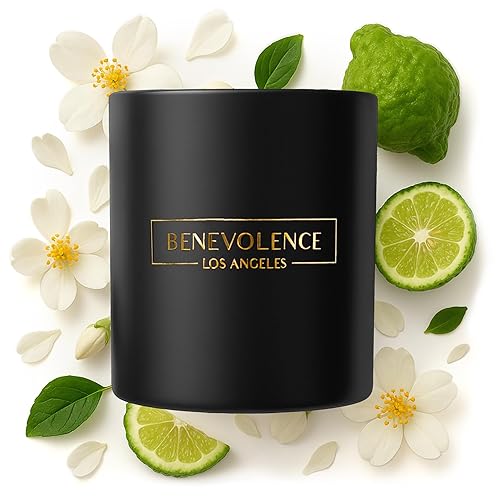 Benevolence Candles Bergamot & Jasmine Scented Candle  8 Oz Scented Candles for Home Scented  Natural Soy Candles for Men  45 Ho