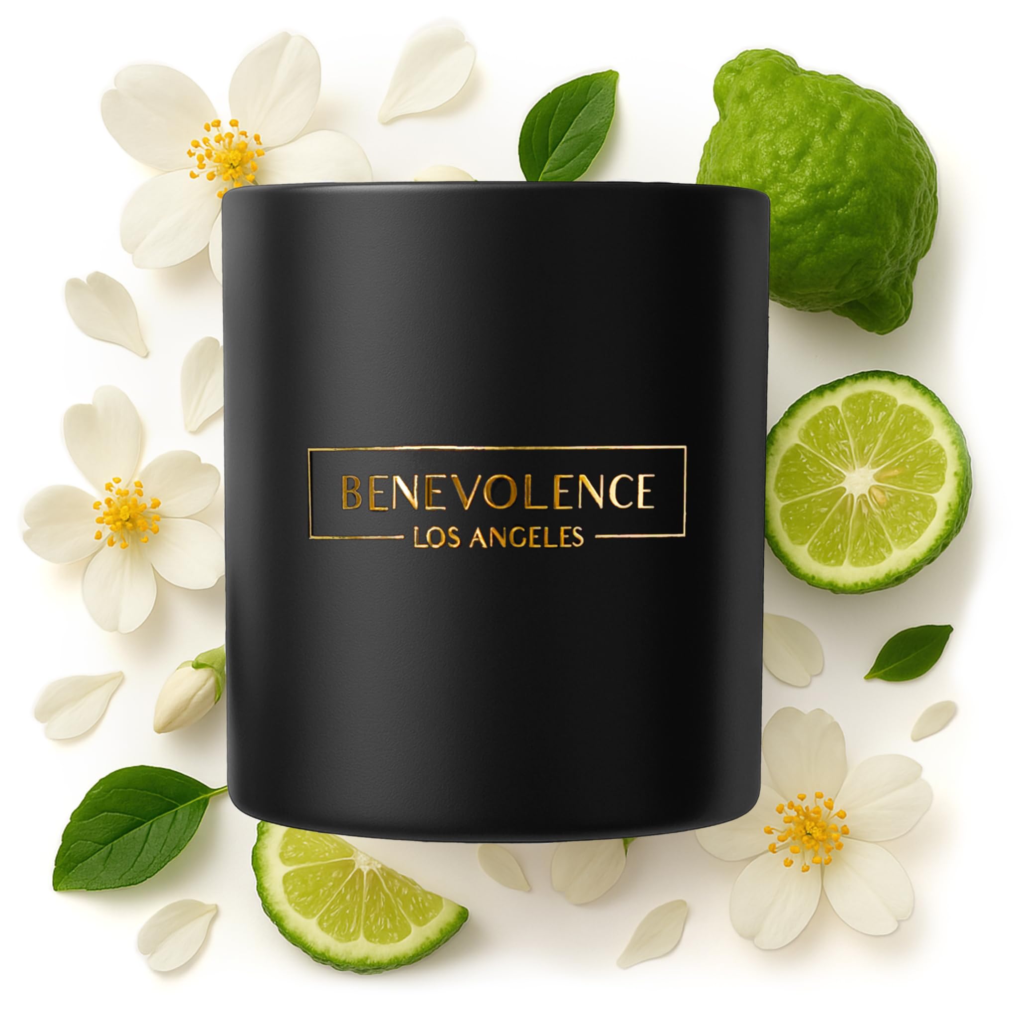 Benevolence Candles Bergamot & Jasmine Scented Candle  8 Oz Scented Candles for Home Scented  Natural Soy Candles for Men  45 Ho