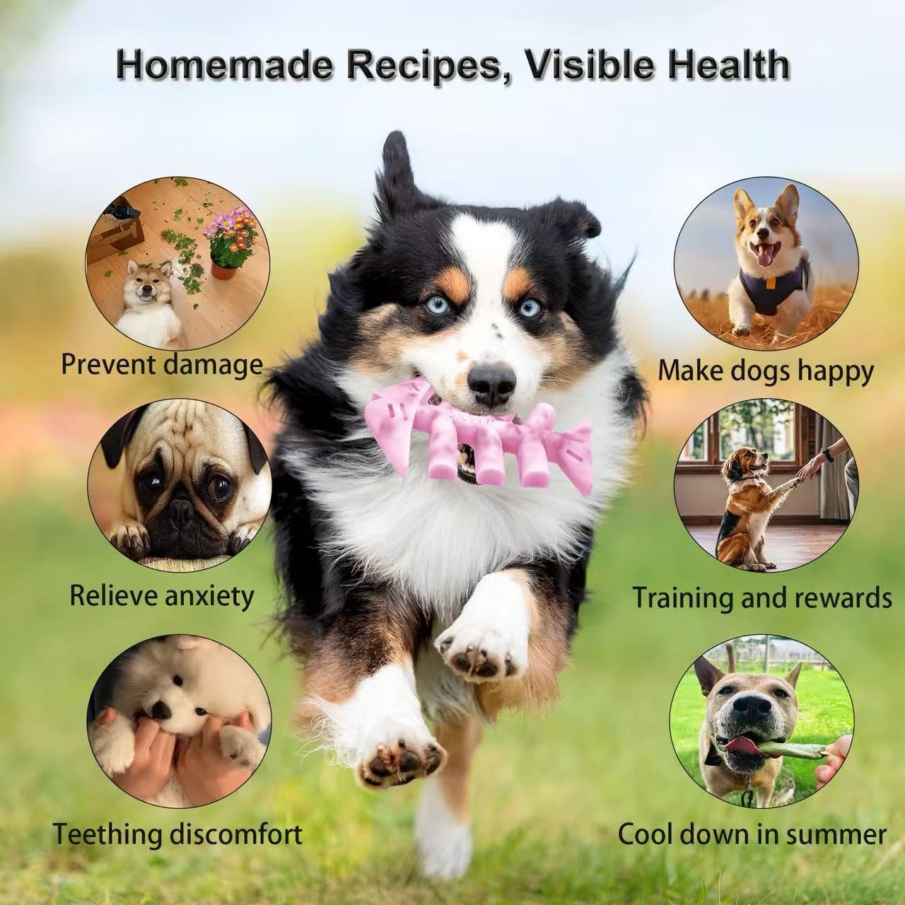 SIUPER 7.5IN Big Fish Bone Dog Cat Treat Mold 1 Pack, DIY Flavors for Puppy. Food Safe Silicone for Oven. Large Ice Cube Mold fo