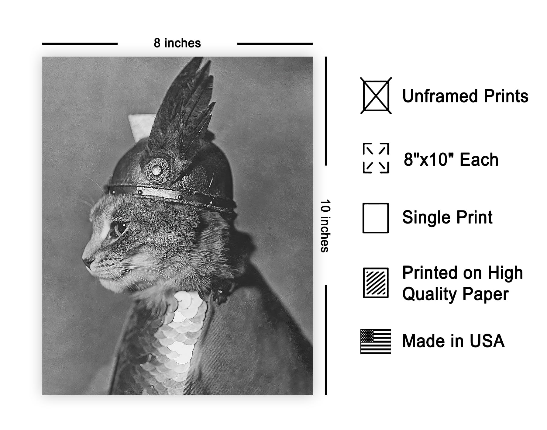 Poster Master Vintage Armored Cat with Winged Helmet Print - Retro Brunhilde the Cat Poster - Photography Art - Funny Gift for H