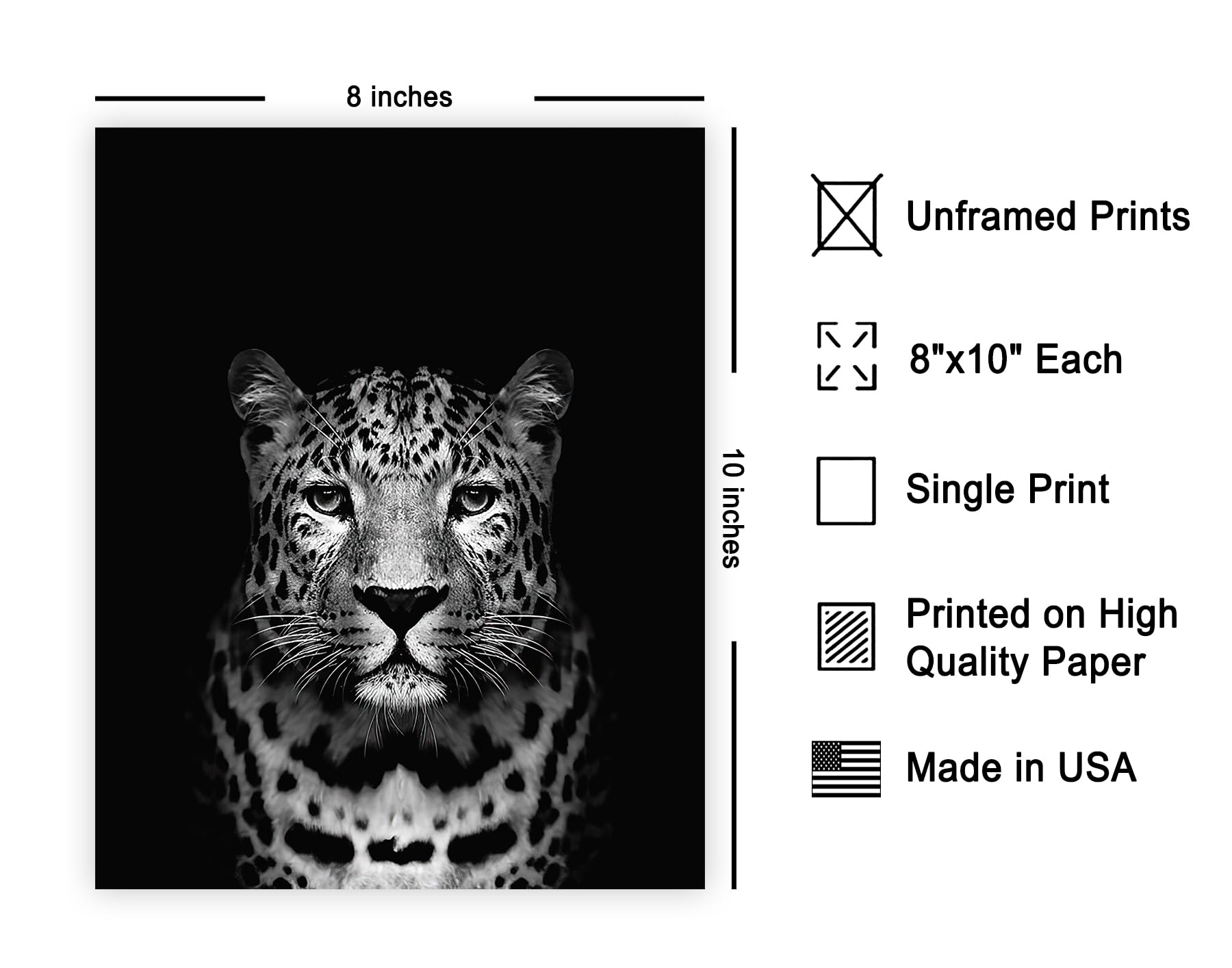 Poster Master Vintage Photograph Poster - Retro Animal Print - Leopard, Minimalist, Fierce, Black & White, Simple - 8x10 UNFRAME