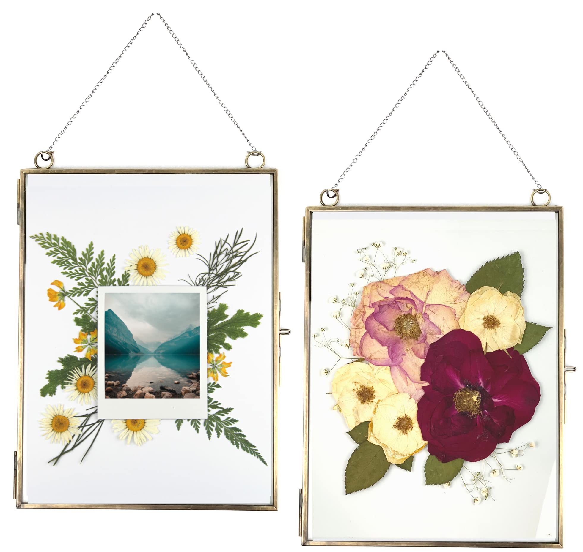 Beedecor Set of 2 Double Glass Hanging Frames for Pressed Flowers, Leaf, and Artwork - Large Rectangular Tempered Glass Wall Dec