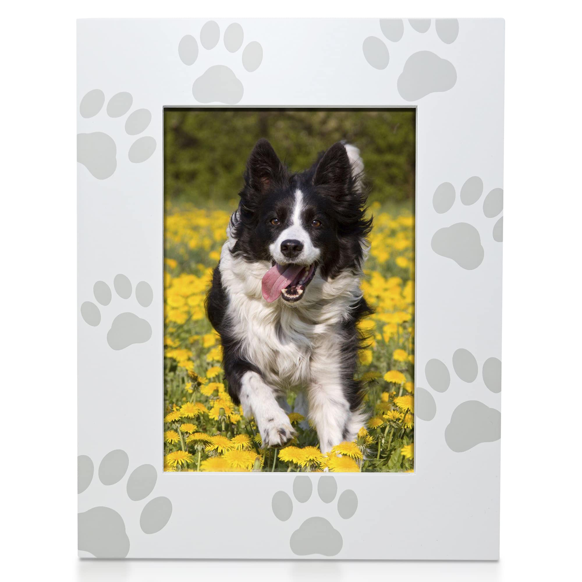 Green Pollywog | Screen-printed Paw Print Design Picture Frame | Fits 5    x 7    Photo | Dog or Cat Frame for Pictures | Dog/Ca
