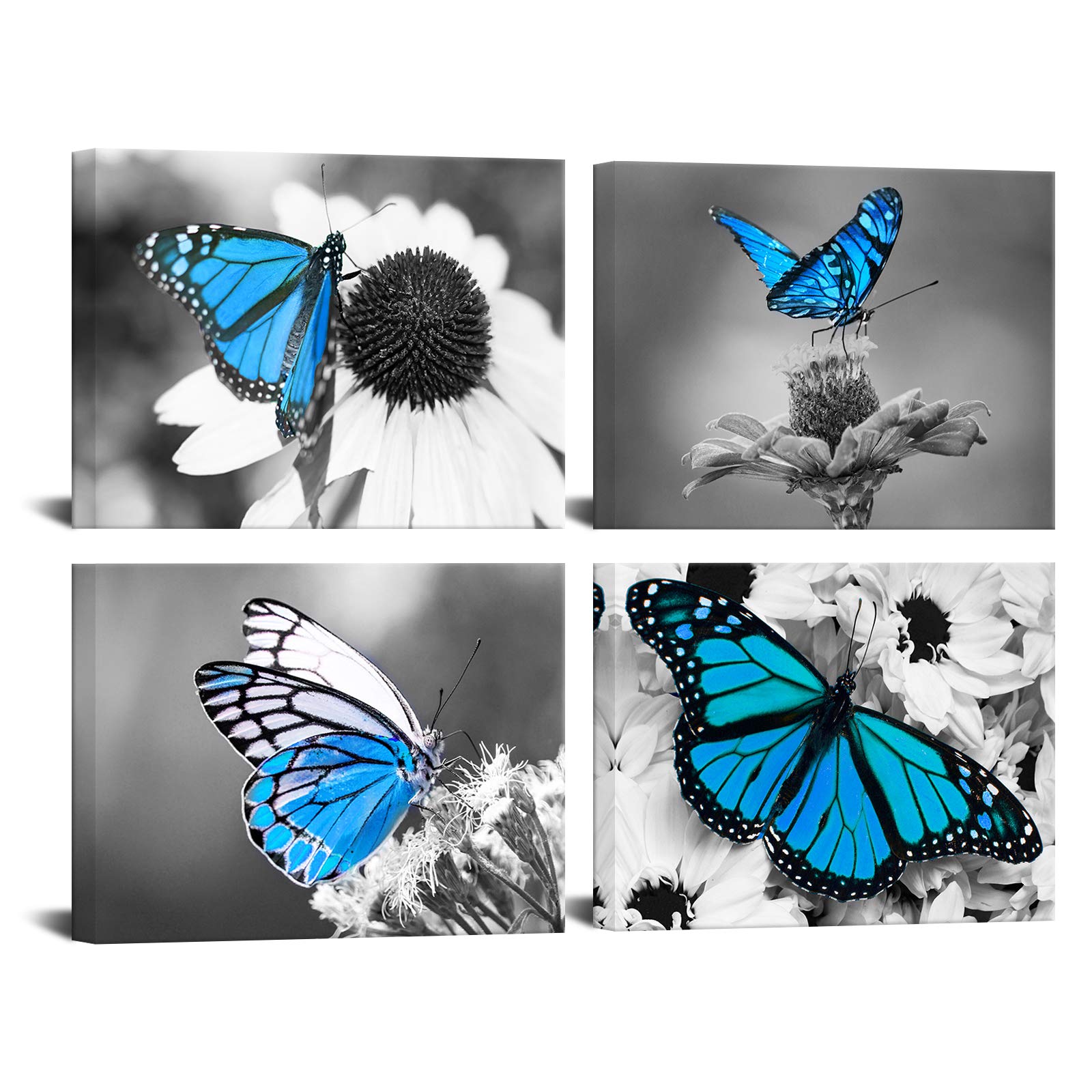 Biuteawal Flower Wall Art Blue Butterfly On Daisy Floral Picture Canvas Painting Black White Nature Landscape Artwork Home Kitch