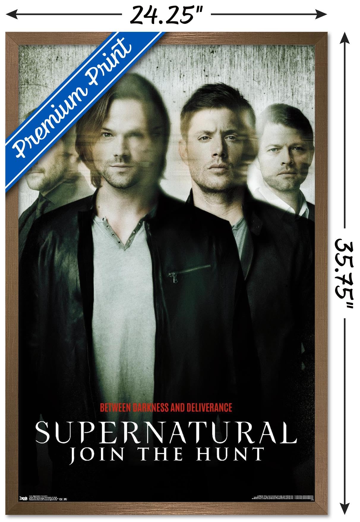 Trends International Supernatural - Key Art 11 Wall Poster, 34L X 22.4W, Bronze Framed Version