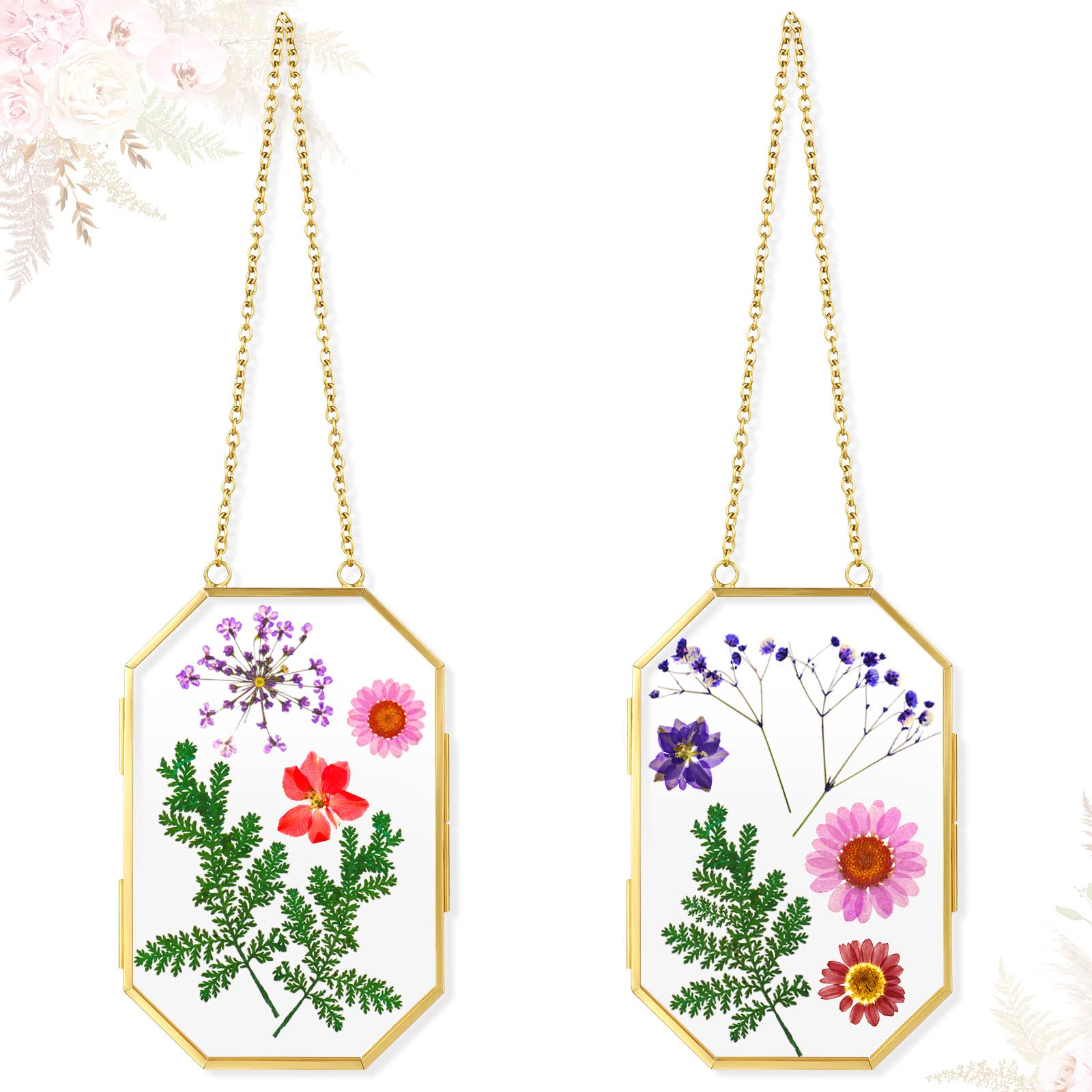 Qunclay 2 Pcs Glass Pressed Flower Frames Hanging Picture Frame Clear Floating Frame Octagon Geometric Double Glass Frame for Pr