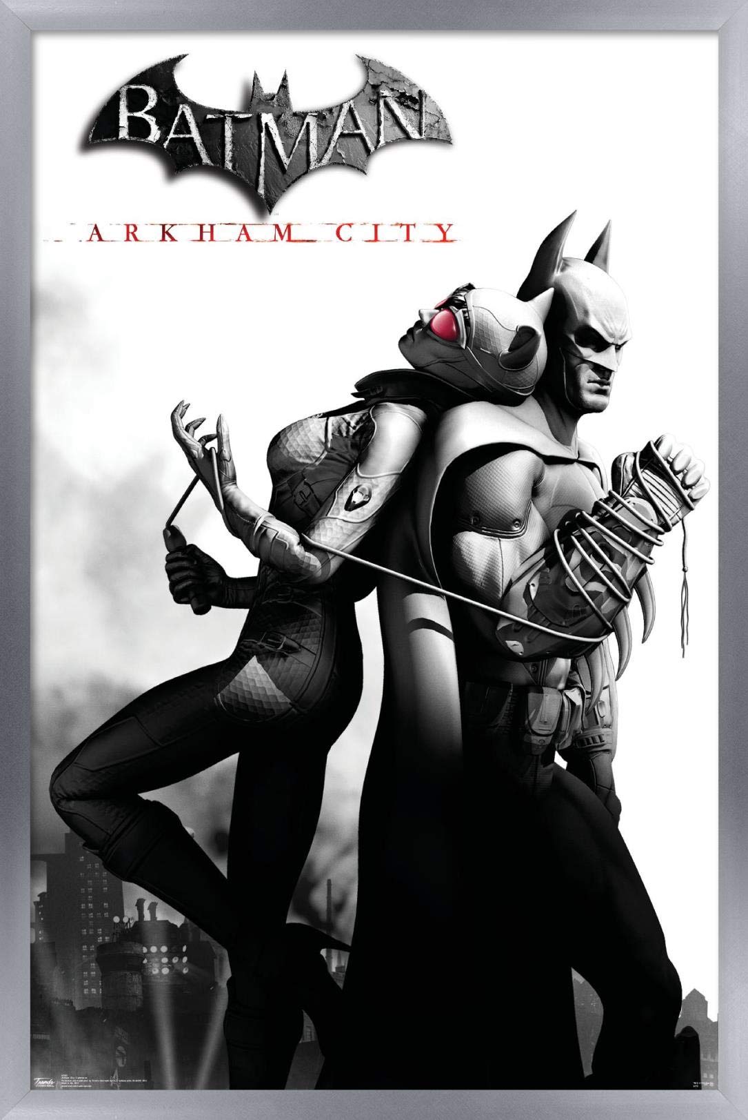 Trends International Dc Comics Video Game - Arkham City - Catwoman Wall Poster, 22.375'' X 34'', Silver Framed Version