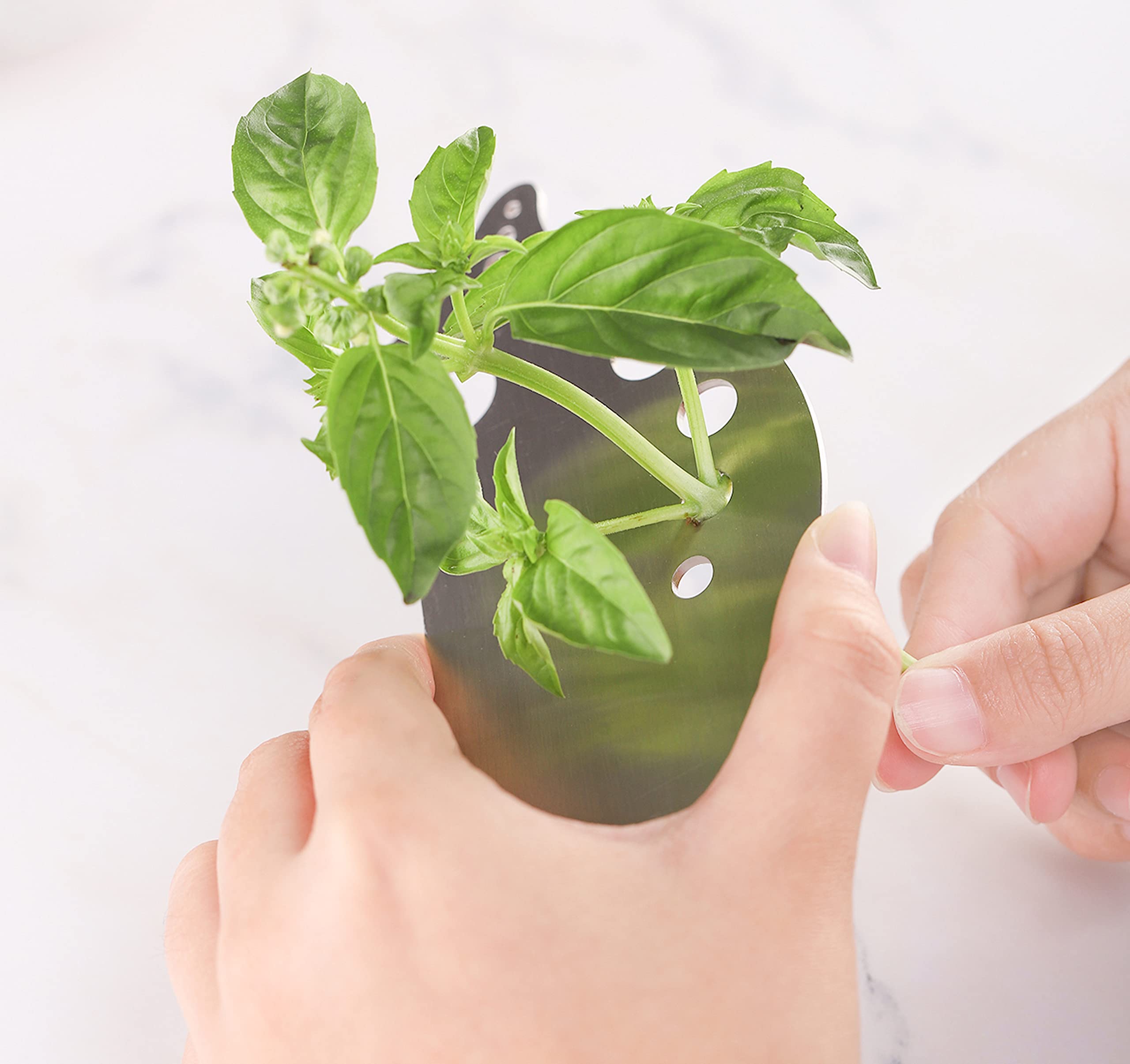 Herb Stripper Tool Fresh Herb Leaf Stripper Cilantro