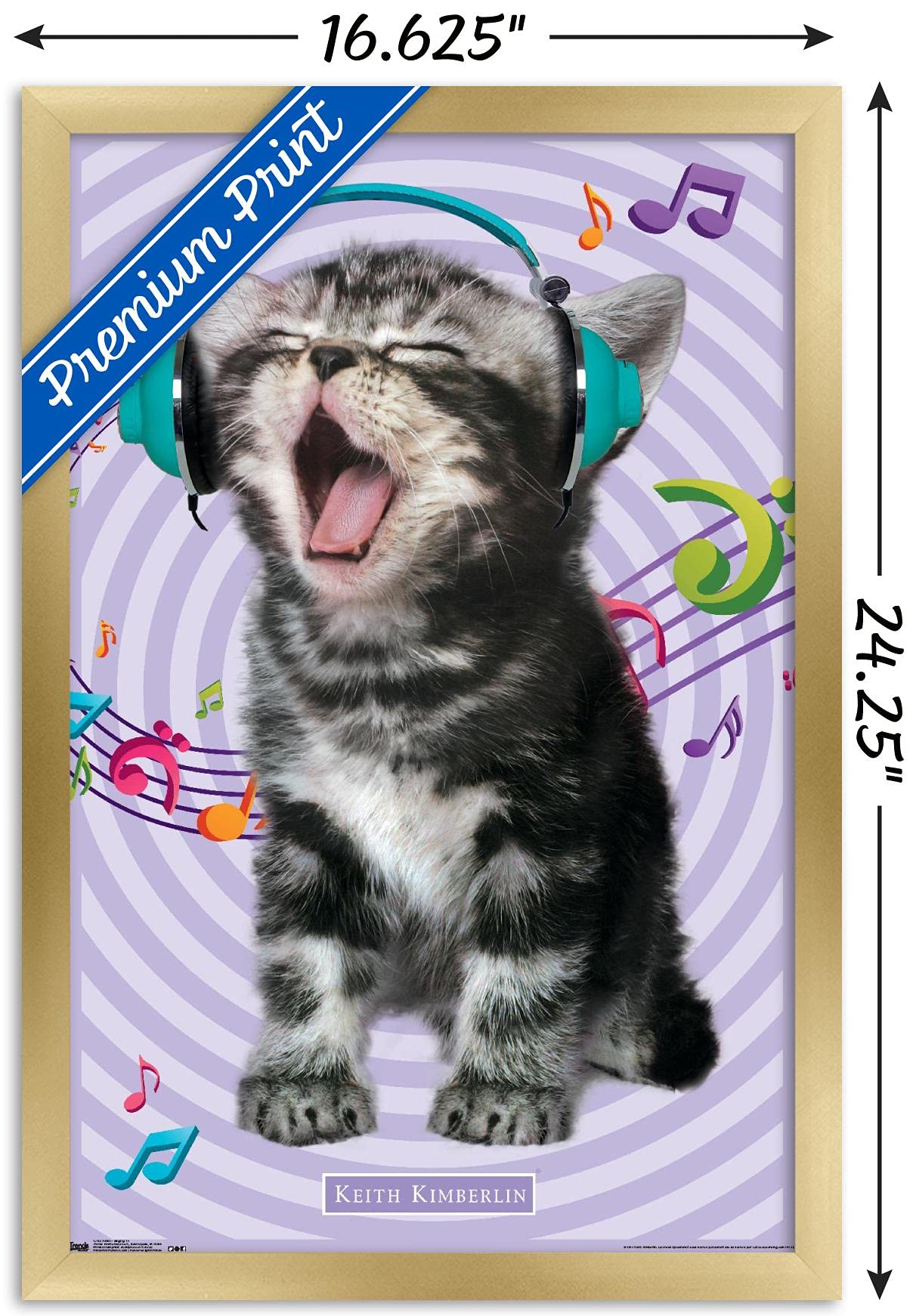 Trends International Keith Kimberlin - Kitten - Singing Wall Poster, 14.725'' X 22.375'', Gold Framed Version
