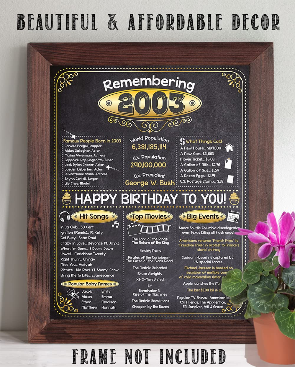 20th Birthday Party Decorations for 20th Birthday (Twenty) - Remembering The Year 2003 - Party Supplies - Gifts for Men and Women Turning 20 - Back In 2003 Birthday Card 11x14 Unframed Print