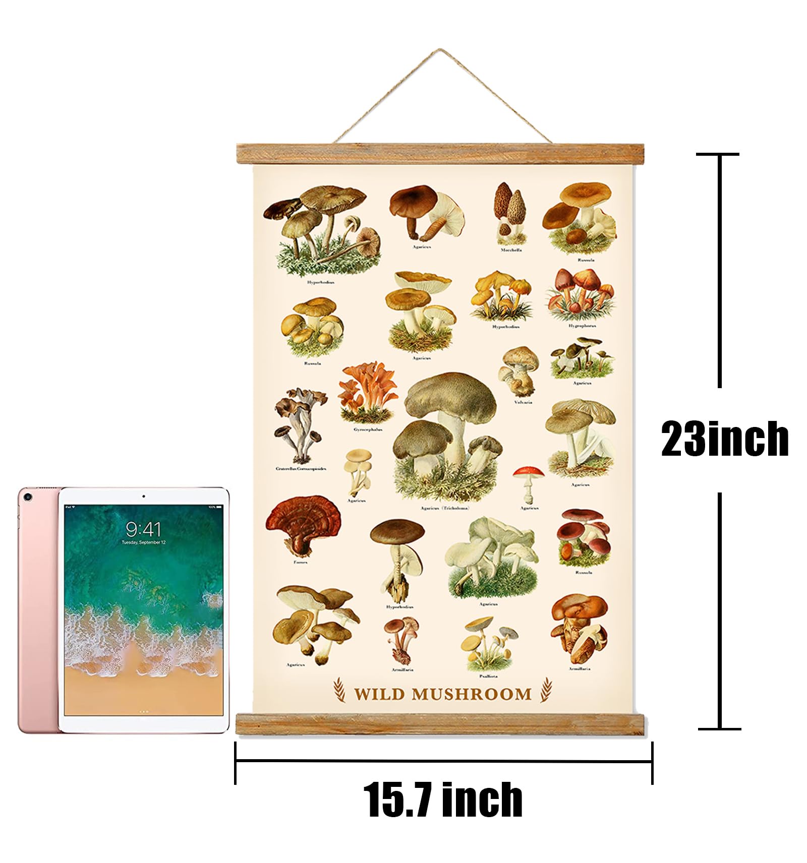 Ovfovy Vintage Mushroom Poster With Wooden Frame, Retro Botanical Educational Art Chart - Cute Style Wall Hanging For Home Class
