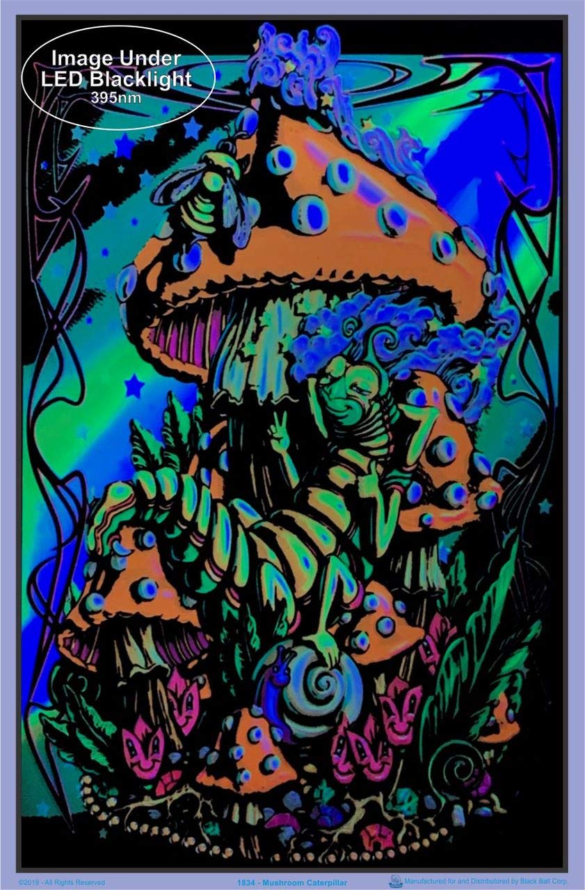 Mushroom Caterpillar - Laminated - Blacklight Poster - 23.5'' X 35.5''