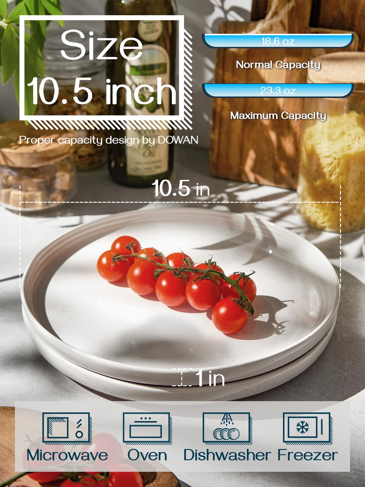 DOWAN 10.5 Large Dinner Plates Set of 6, Ceramic Salad Plate, Microwave, Oven & Dishwasher Safe, Moon-White Design Perfect for P