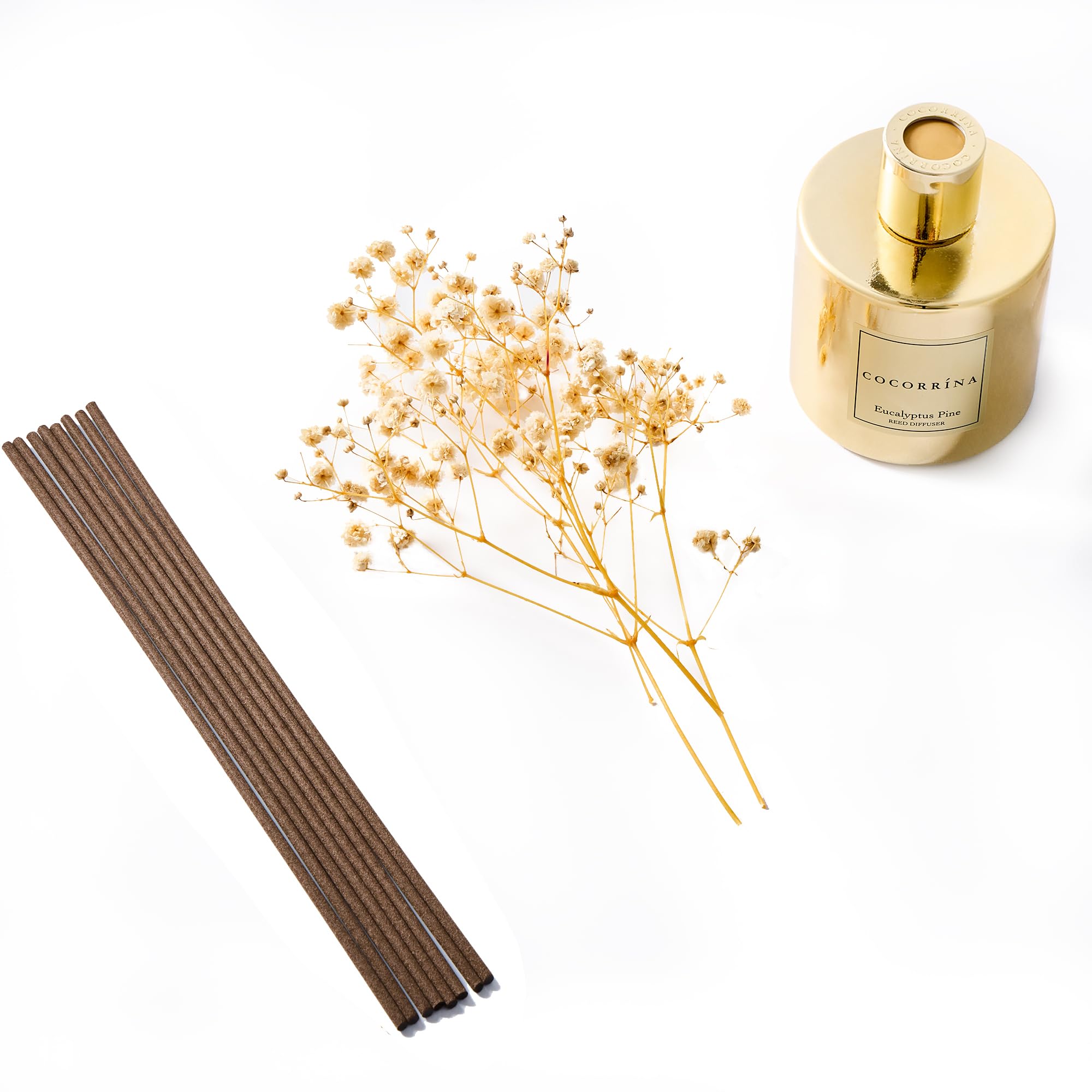 COCORR  NA Reed Diffuser - Eucalyptus Pine Diffuser with 8 Sticks Home Fragrance Christmas Reed Diffuser for Bathroom Shelf Deco