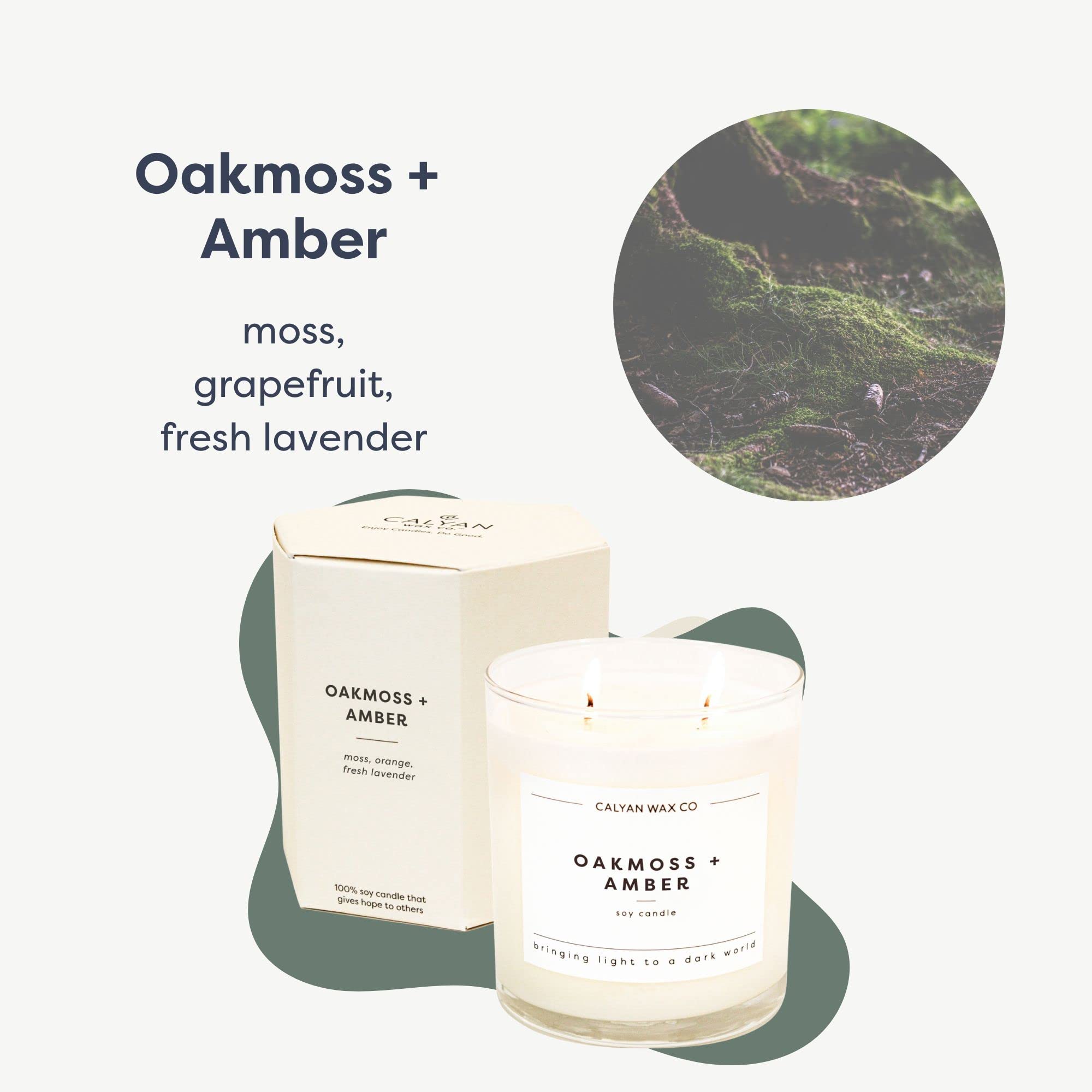 Calyan Wax Scented Candle, Oakmoss & Amber Candle for The Home Scented with Moss & Sage, Soy Wax Aromatherapy Candle in Glass Ja