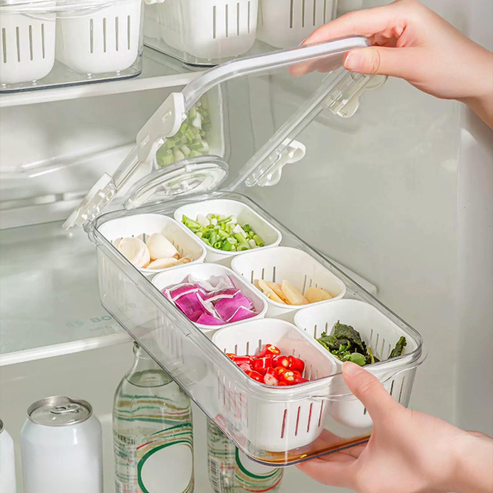 Mano Serving Trays For Party Divided Veggie Tray With Lid Sealed Sectioned Fruit Snack Serving Platter Vegetable Storage With 6
