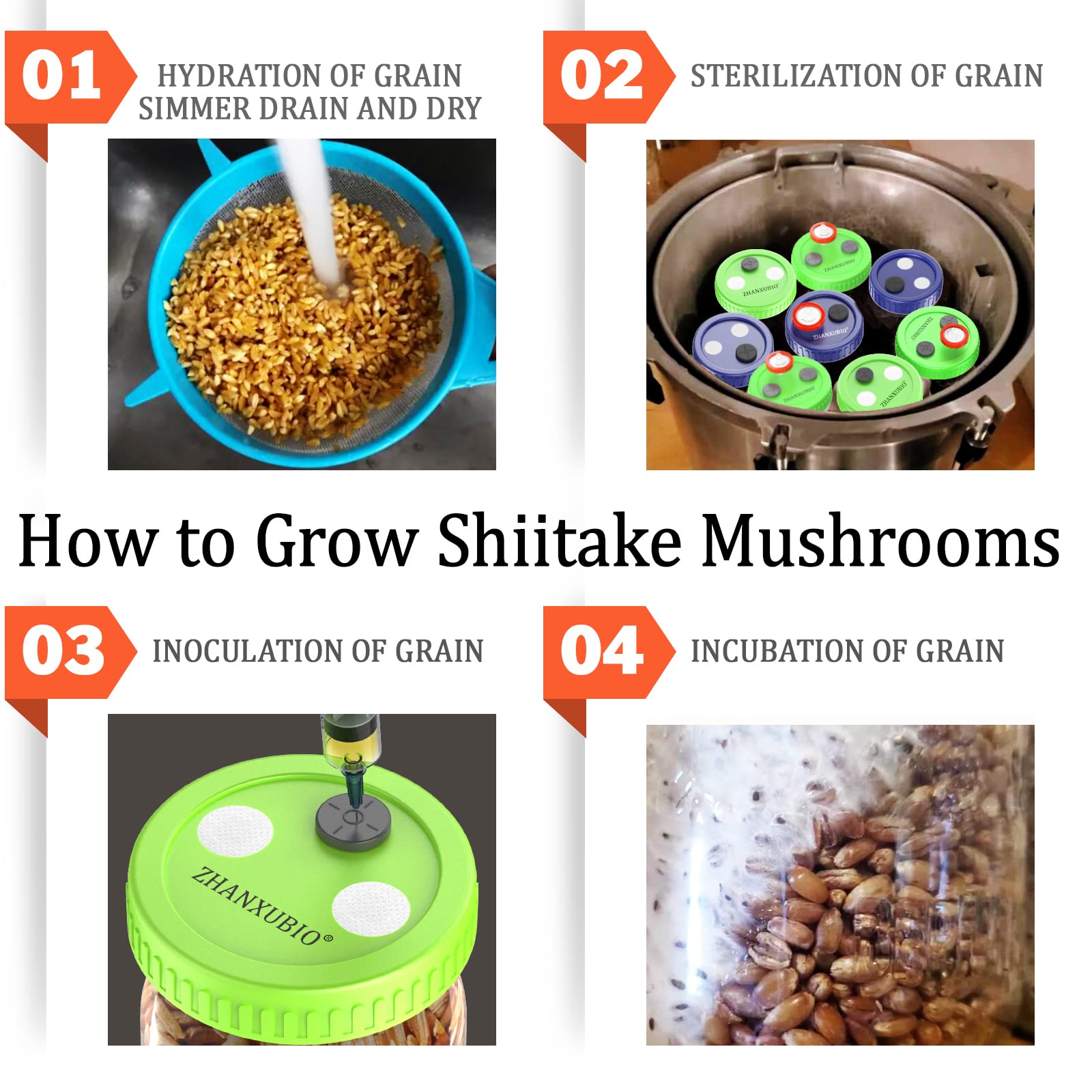 Mushroom Jar Liquid Culture Lid Wide Mouth Rejular Mouth Food Grade Plastic Grain Spawn Cultivation Mason Jar Lid With Ptfe Memb