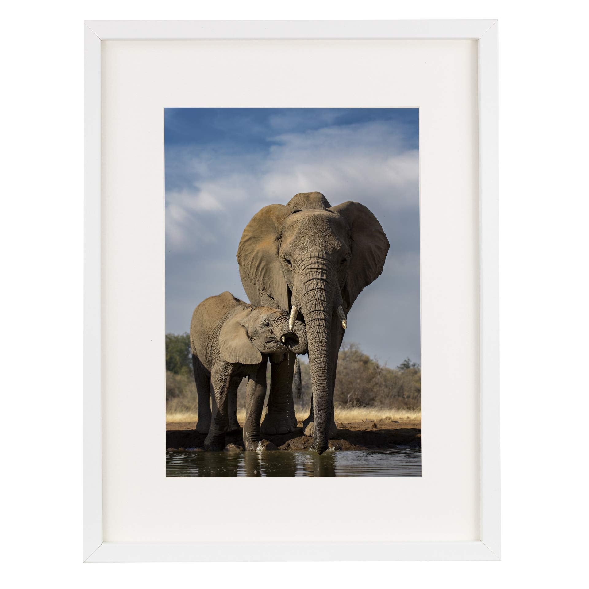BD ART 12x16 (30x40 cm) White Picture Frame Made of Wood and High Definition glass Display Pictures 8x12 with Mat or 12x16 Without Mat - Vertical and Horizontal Wall Mounting