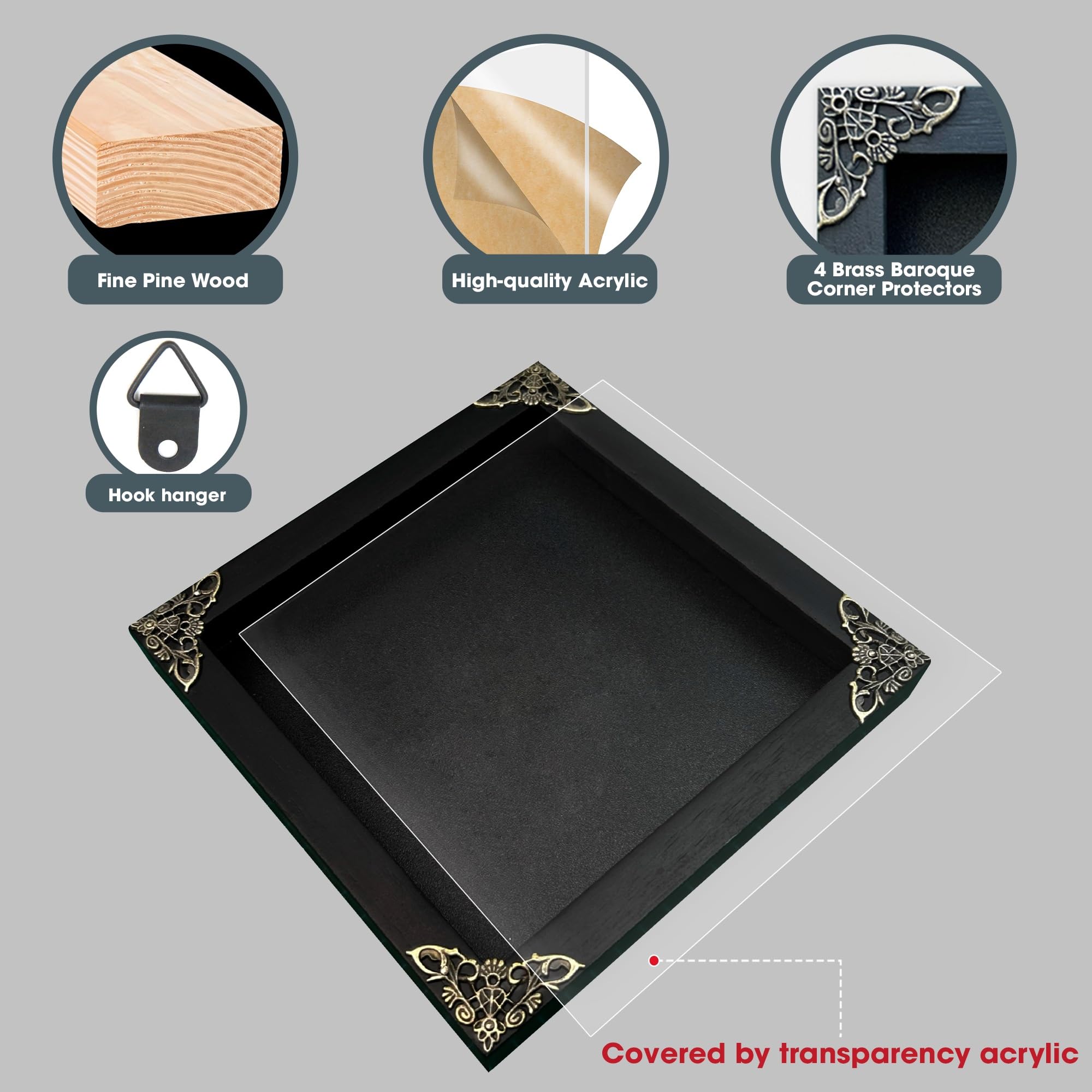 Real Giant Scorpion Framed Dried Beetle Shadow Box Entomology Wooden Insect Handmade Taxidermy Wall Art Decor Decoration Tableto